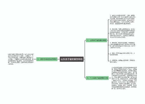 山东亲子鉴定是怎样的