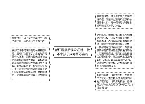 都江堰震后现公证潮 一批不幸孩子成为百万富翁