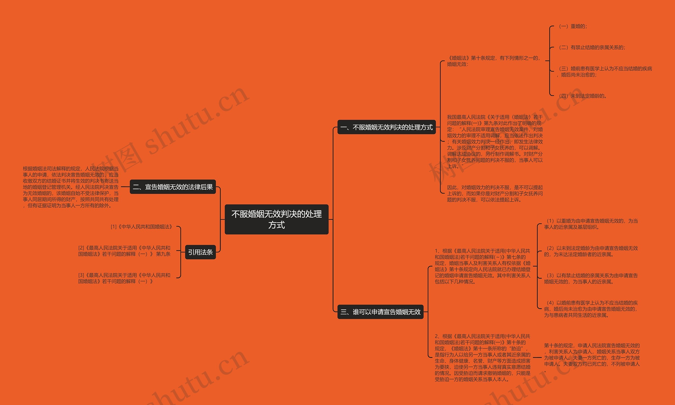 不服婚姻无效判决的处理方式思维导图