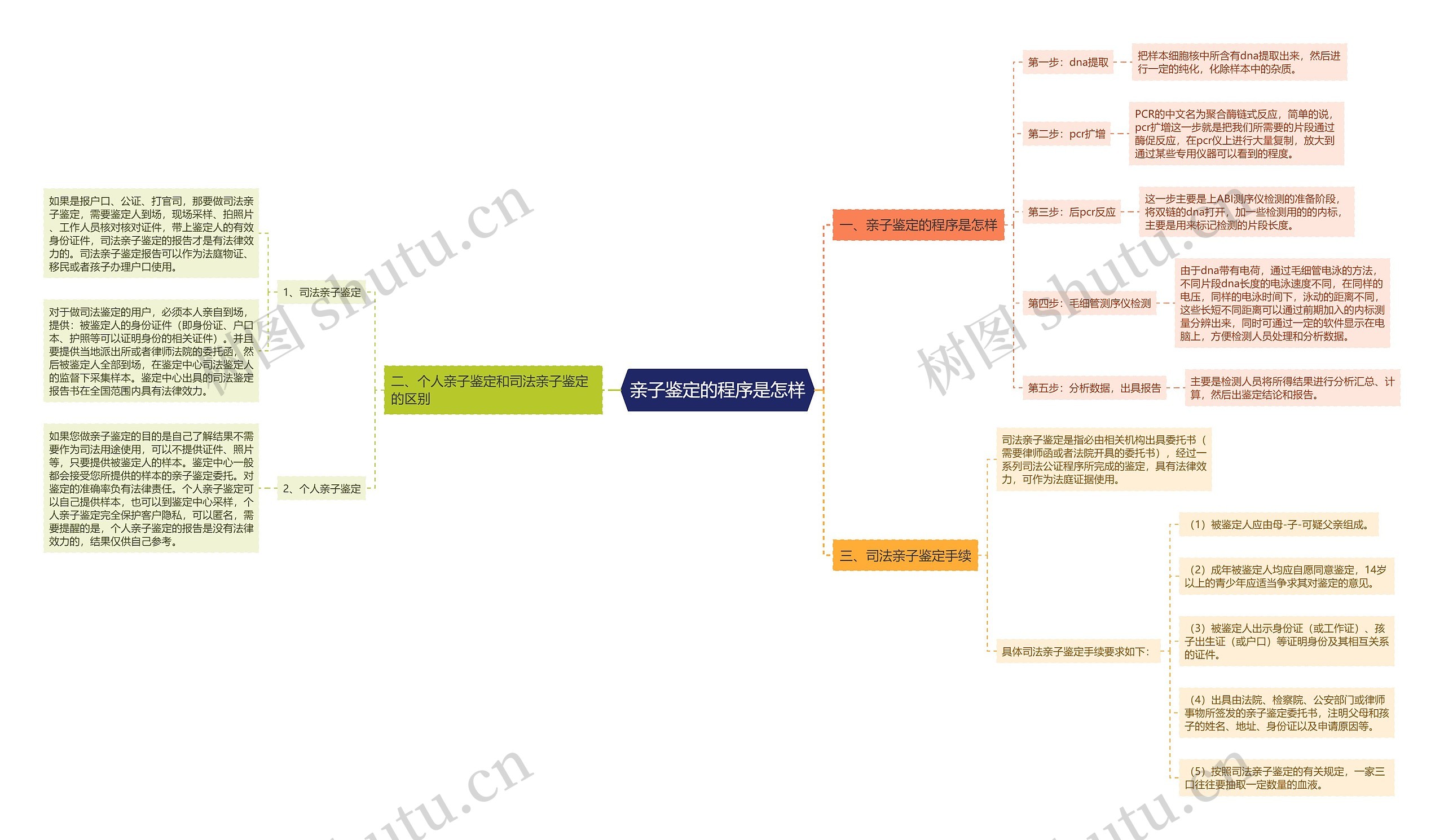 亲子鉴定的程序是怎样思维导图