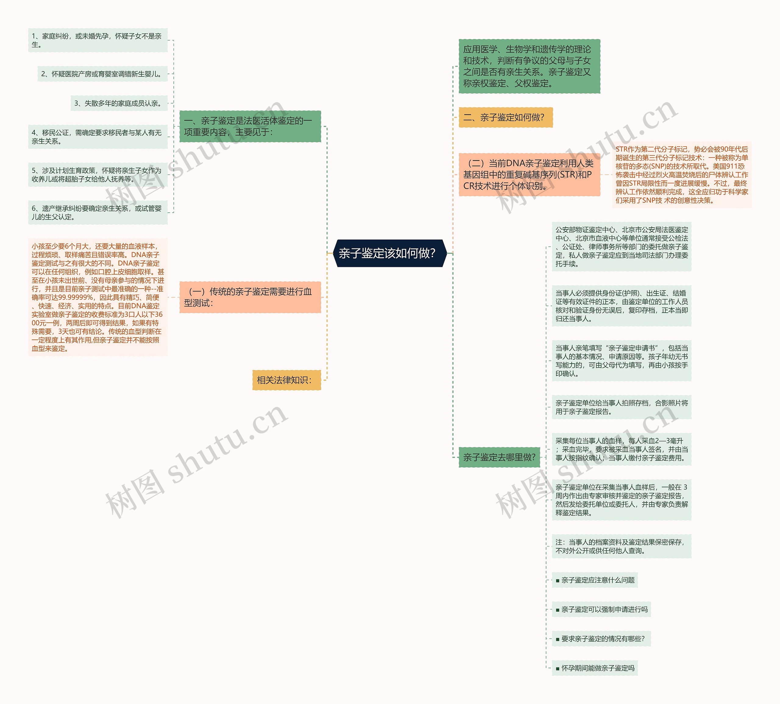 亲子鉴定该如何做？思维导图