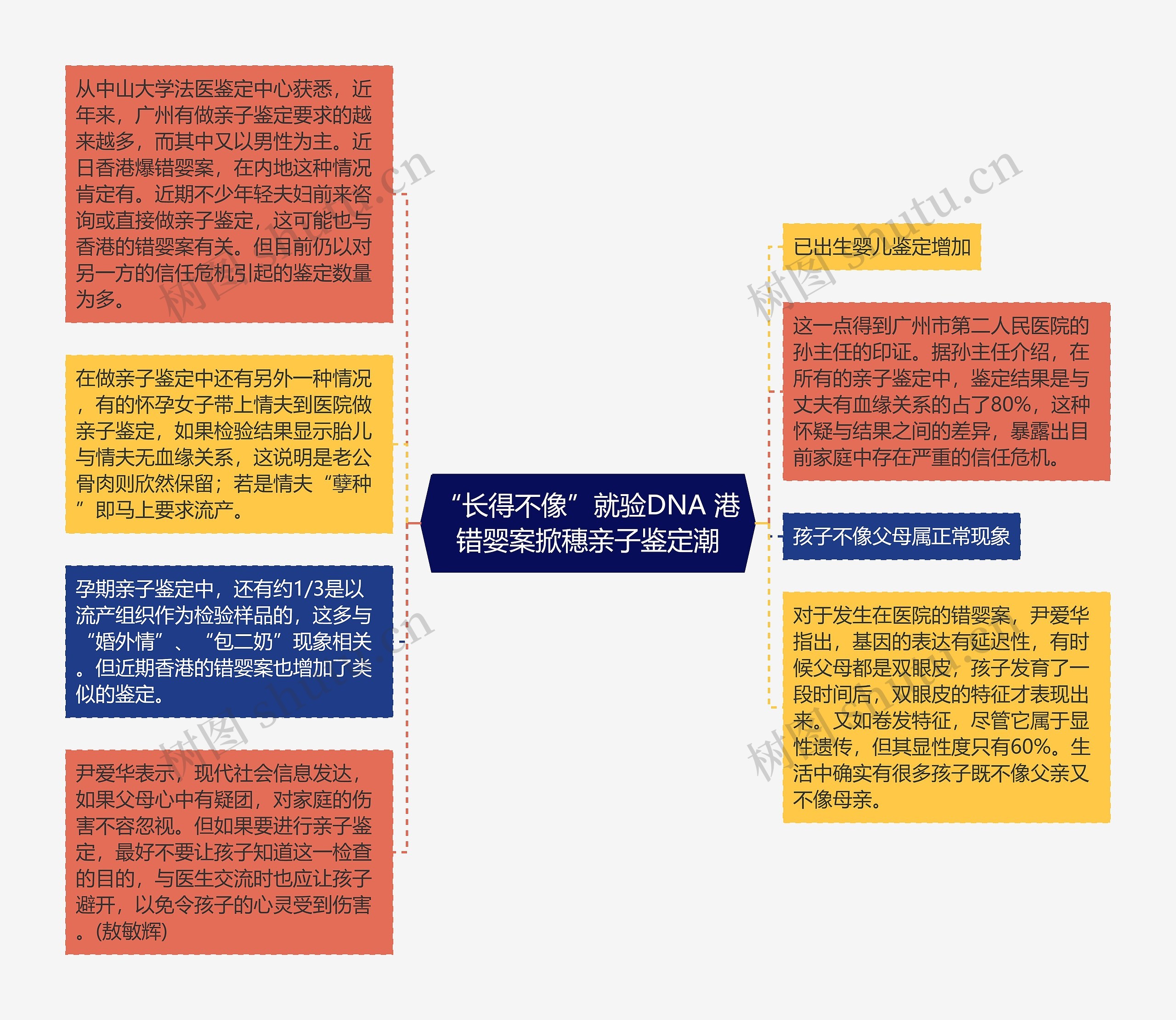 “长得不像”就验DNA 港错婴案掀穗亲子鉴定潮思维导图