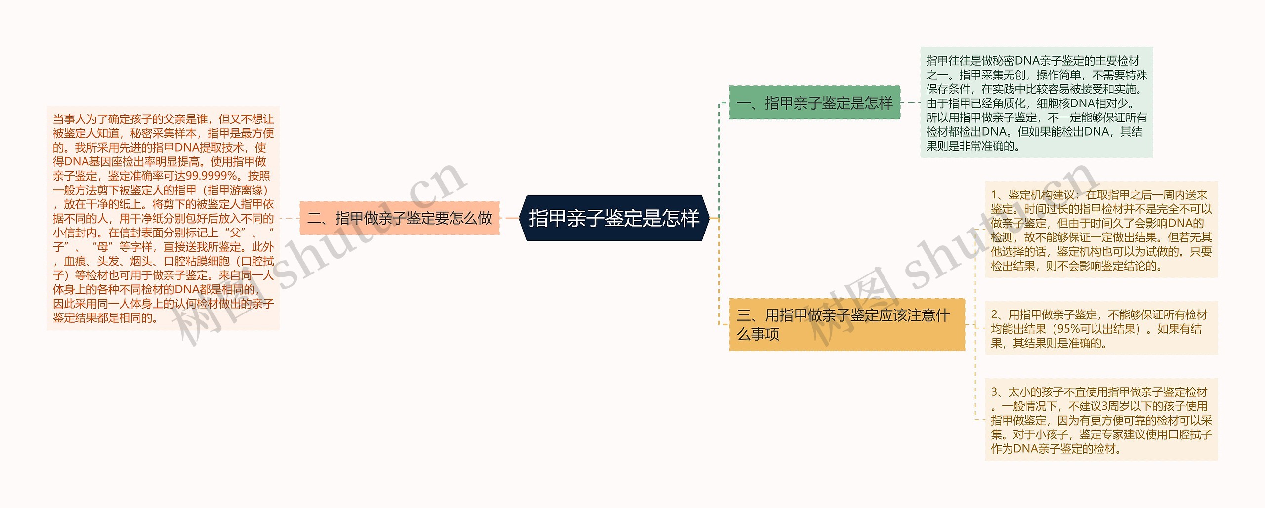 指甲亲子鉴定是怎样思维导图