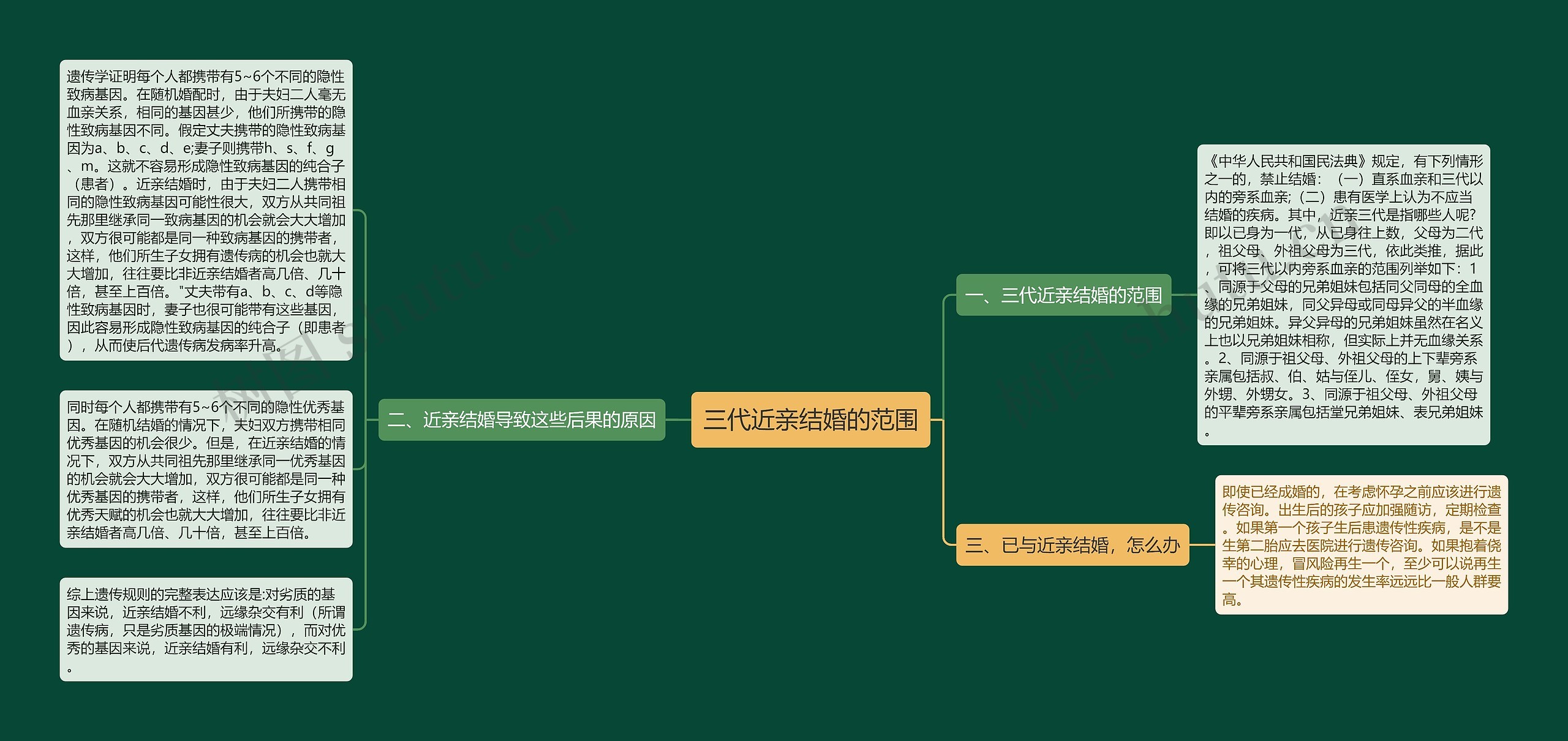 三代近亲结婚的范围思维导图