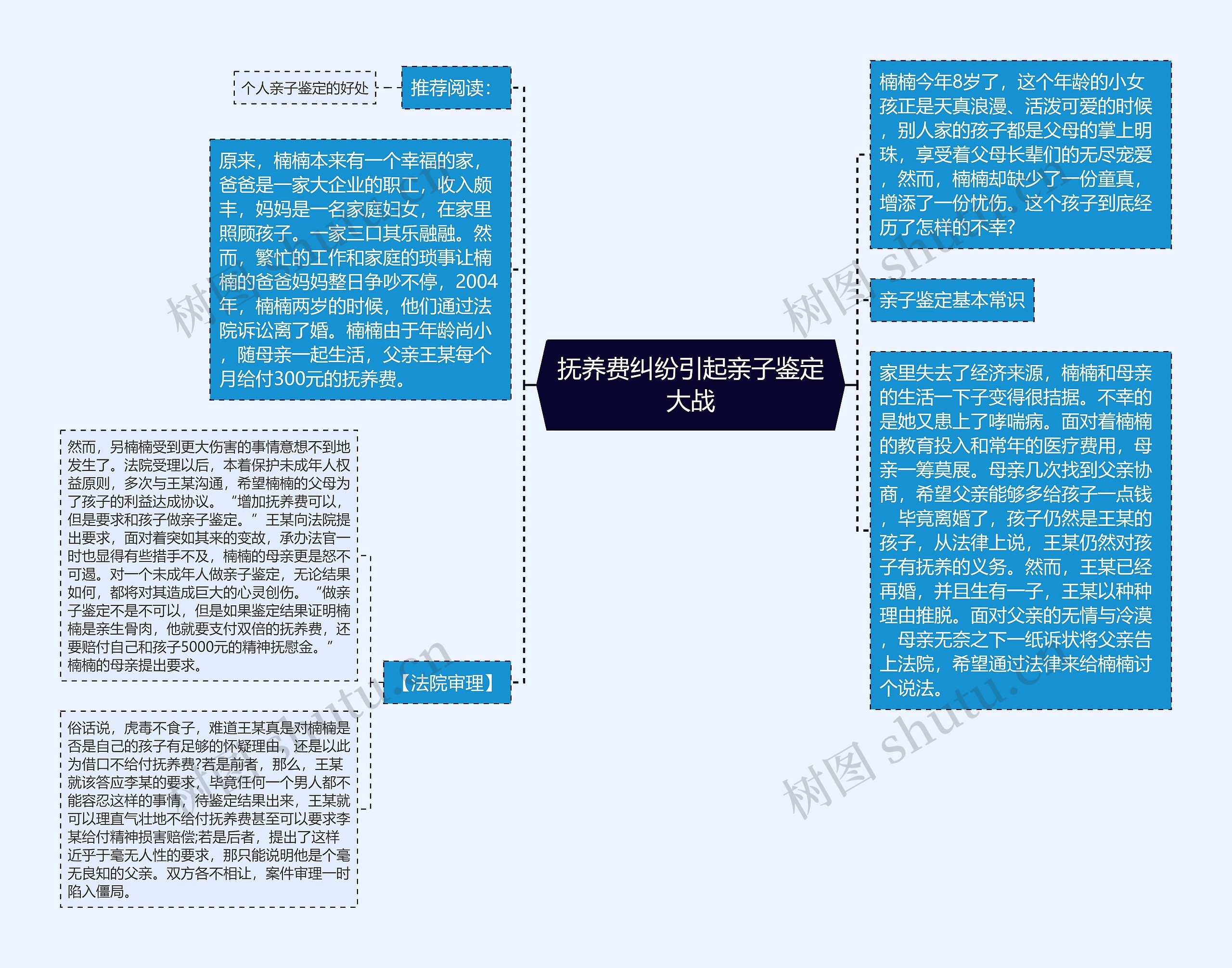 抚养费纠纷引起亲子鉴定大战思维导图