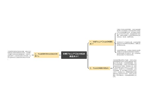 非婚子女上户口社会抚养费是多少?