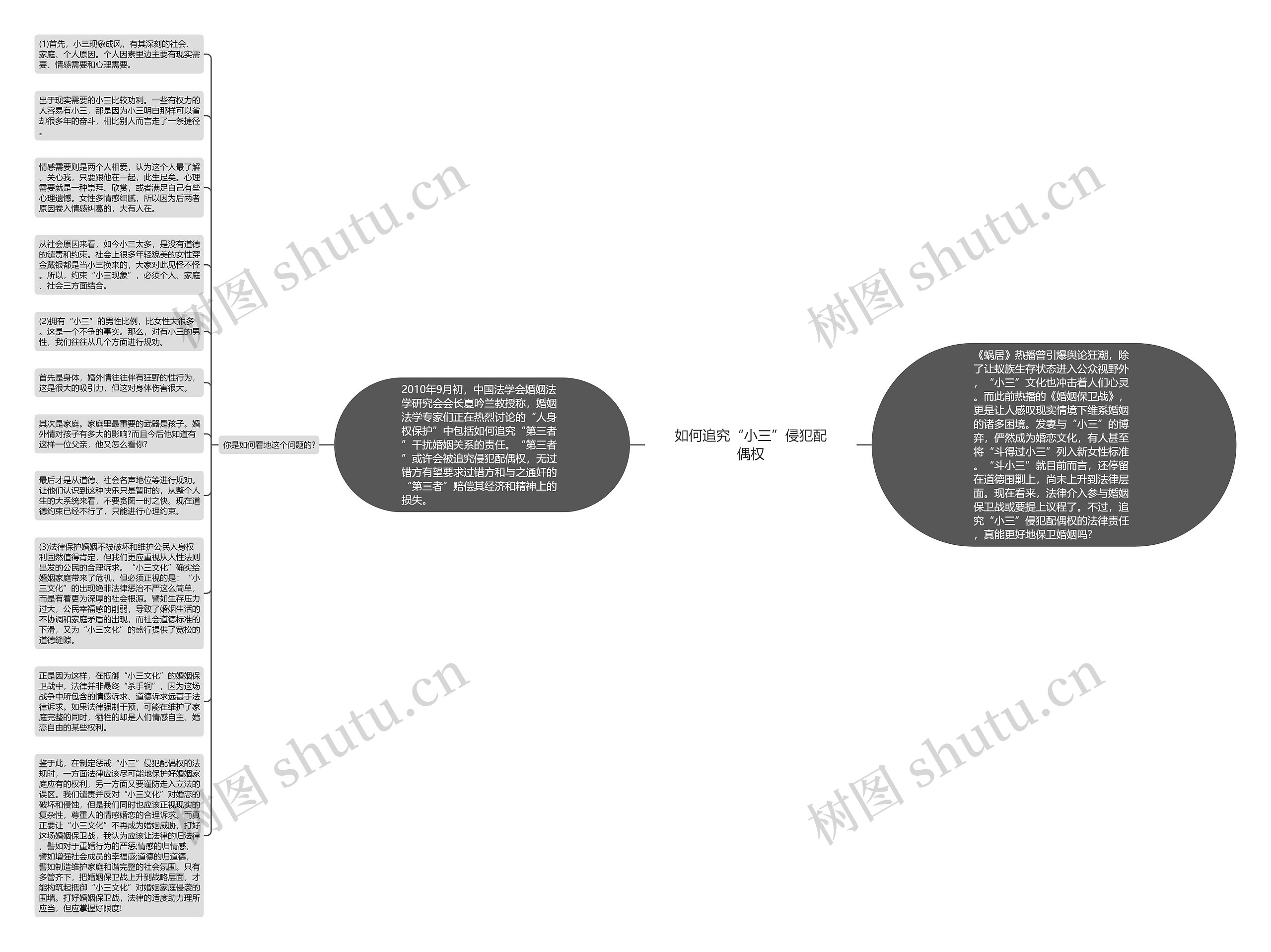 如何追究“小三”侵犯配偶权思维导图