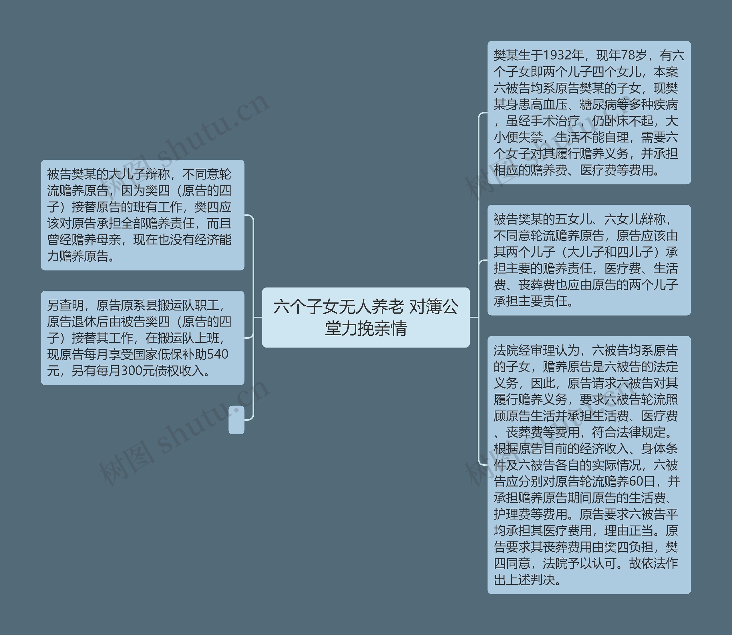 六个子女无人养老 对簿公堂力挽亲情思维导图