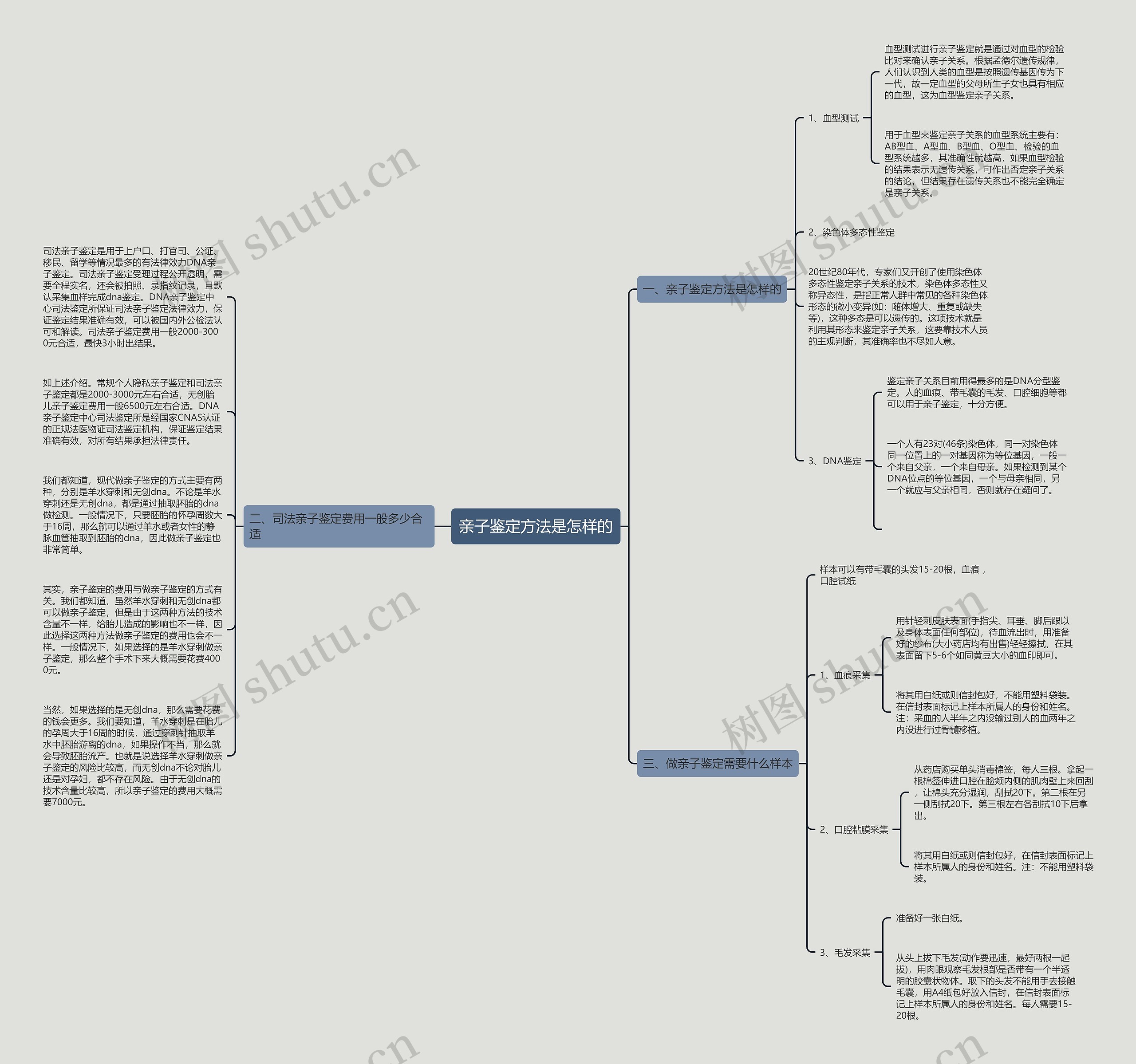 亲子鉴定方法是怎样的思维导图
