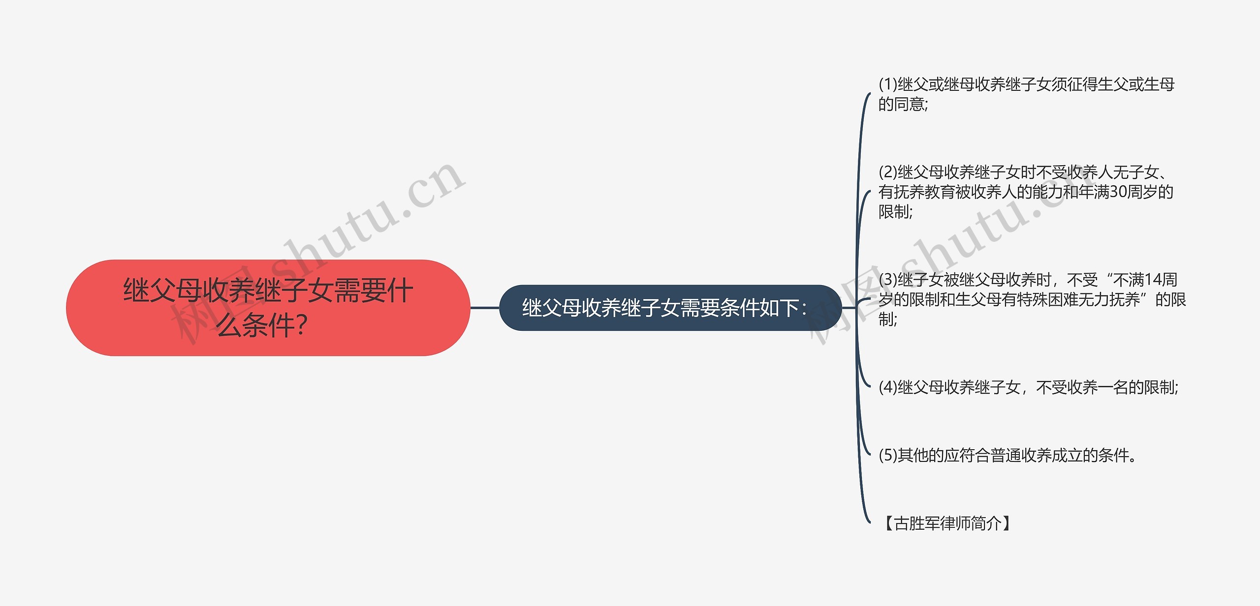 继父母收养继子女需要什么条件？思维导图