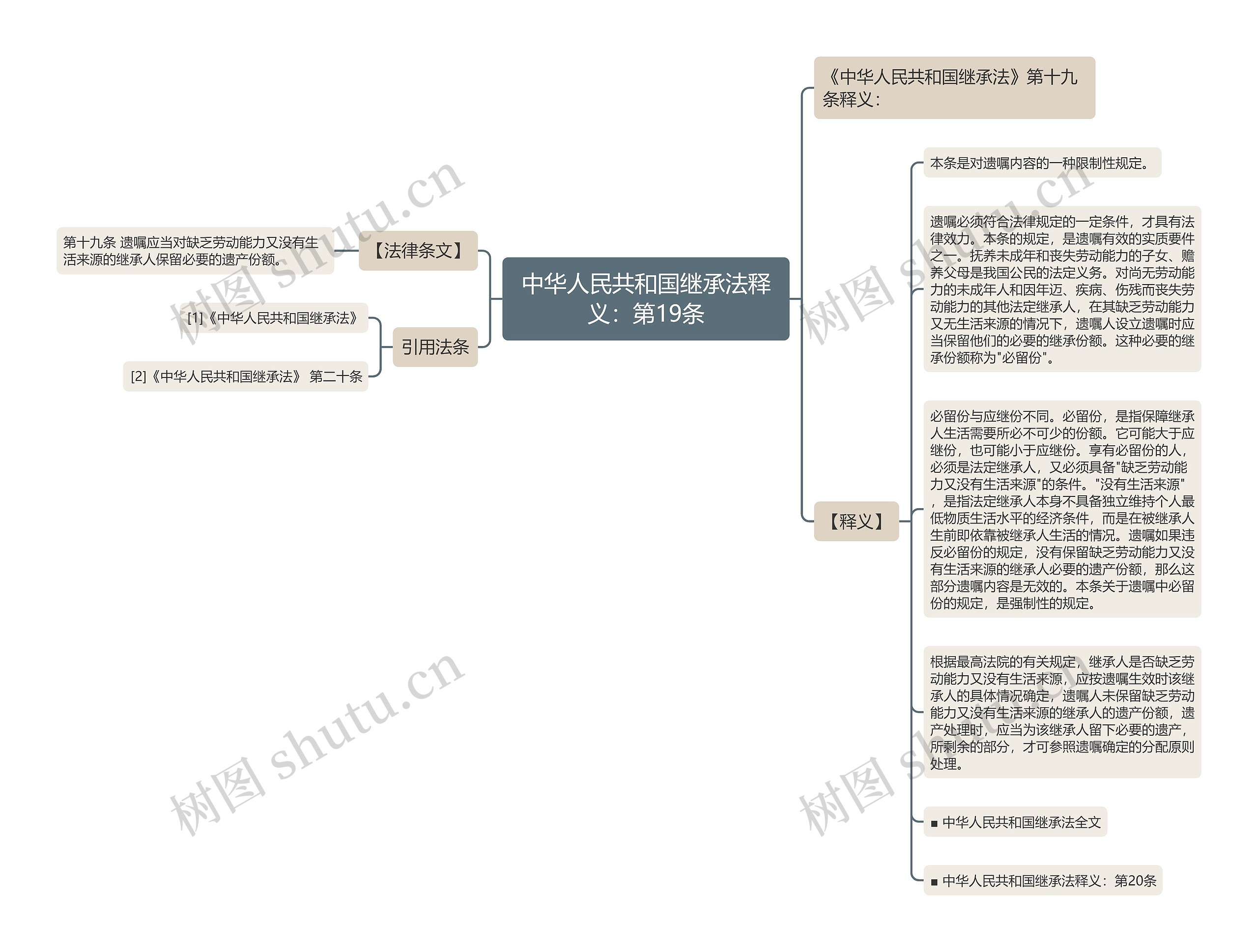 中华人民共和国继承法释义：第19条思维导图