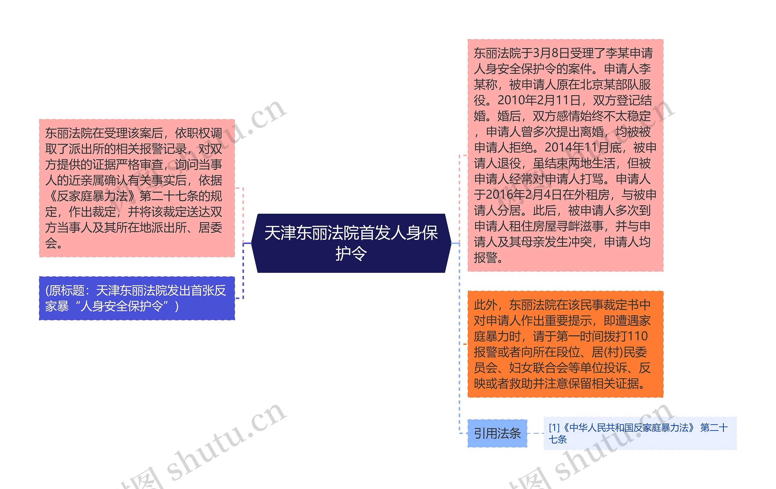 天津东丽法院首发人身保护令思维导图