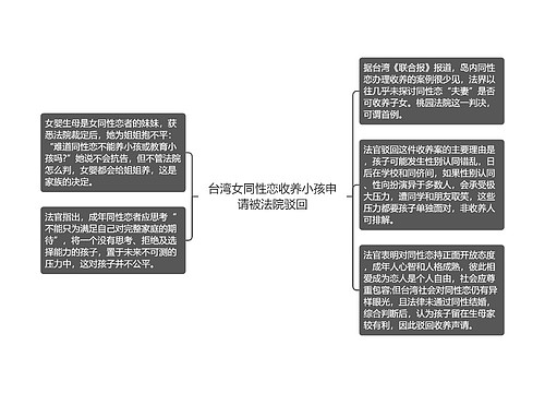 台湾女同性恋收养小孩申请被法院驳回