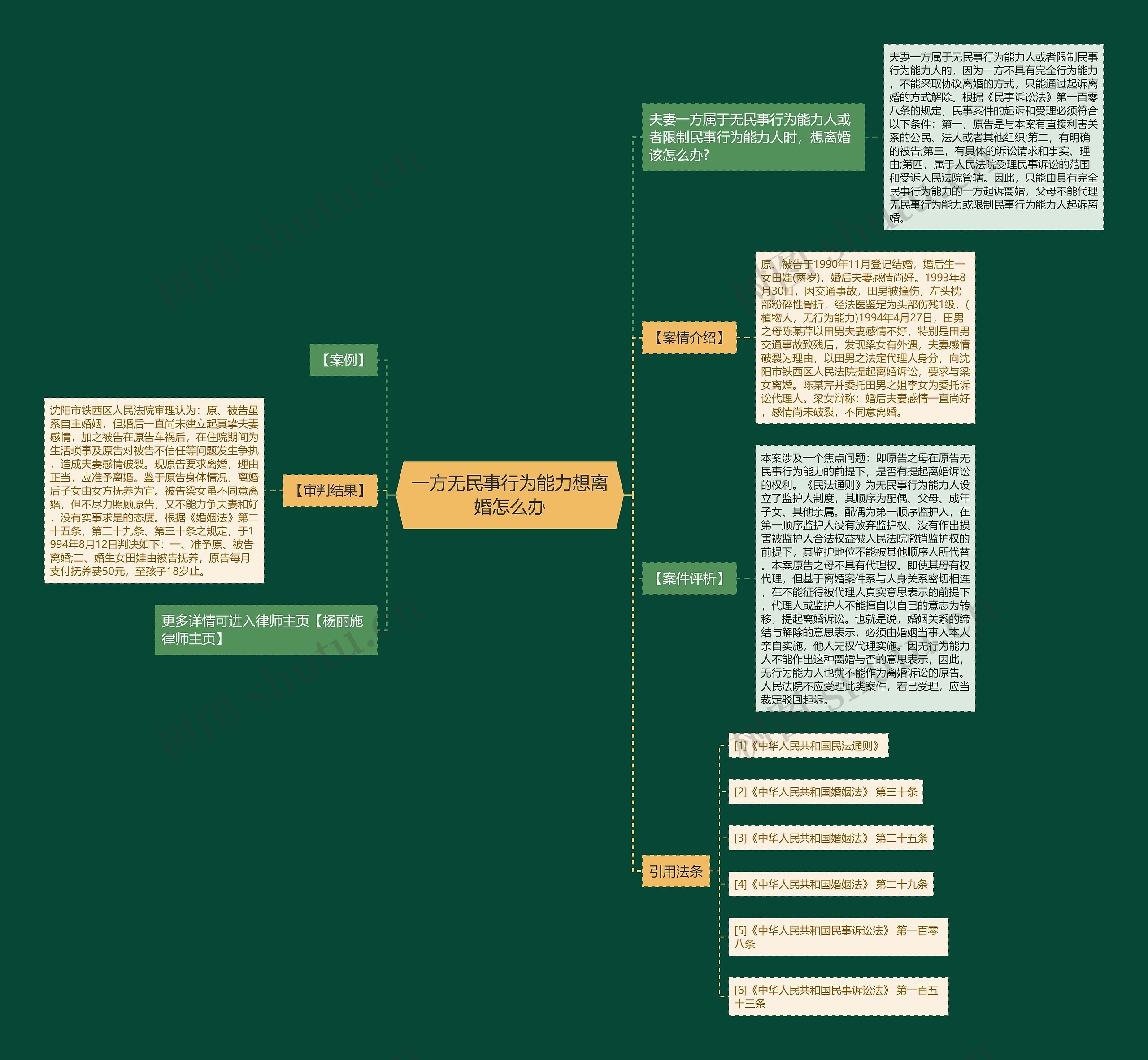 一方无民事行为能力想离婚怎么办思维导图