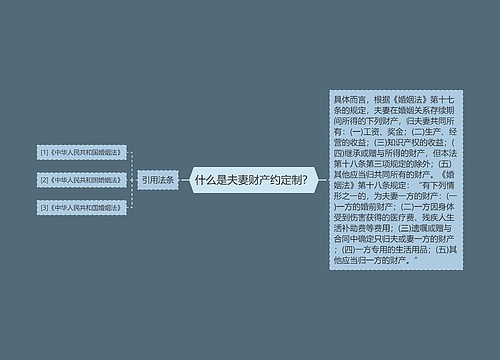 什么是夫妻财产约定制？