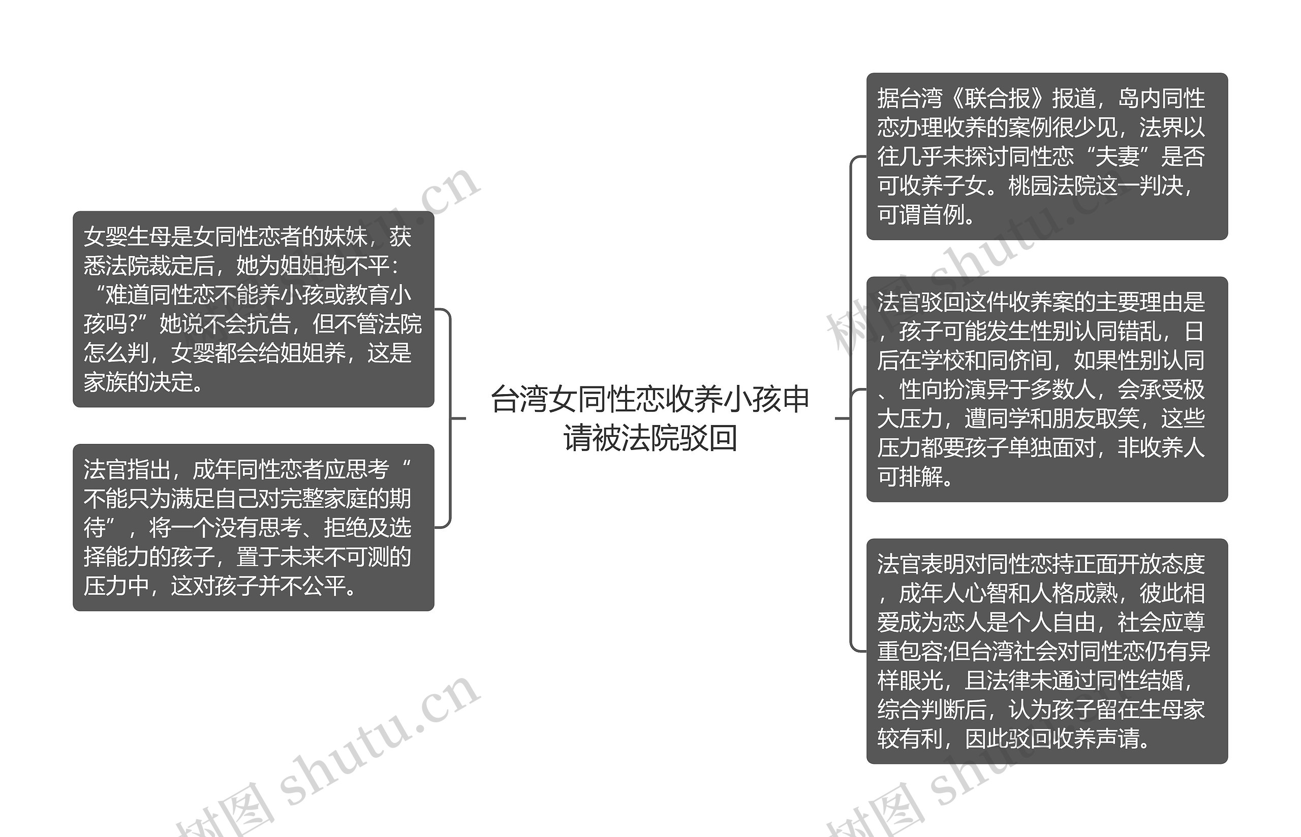 台湾女同性恋收养小孩申请被法院驳回思维导图