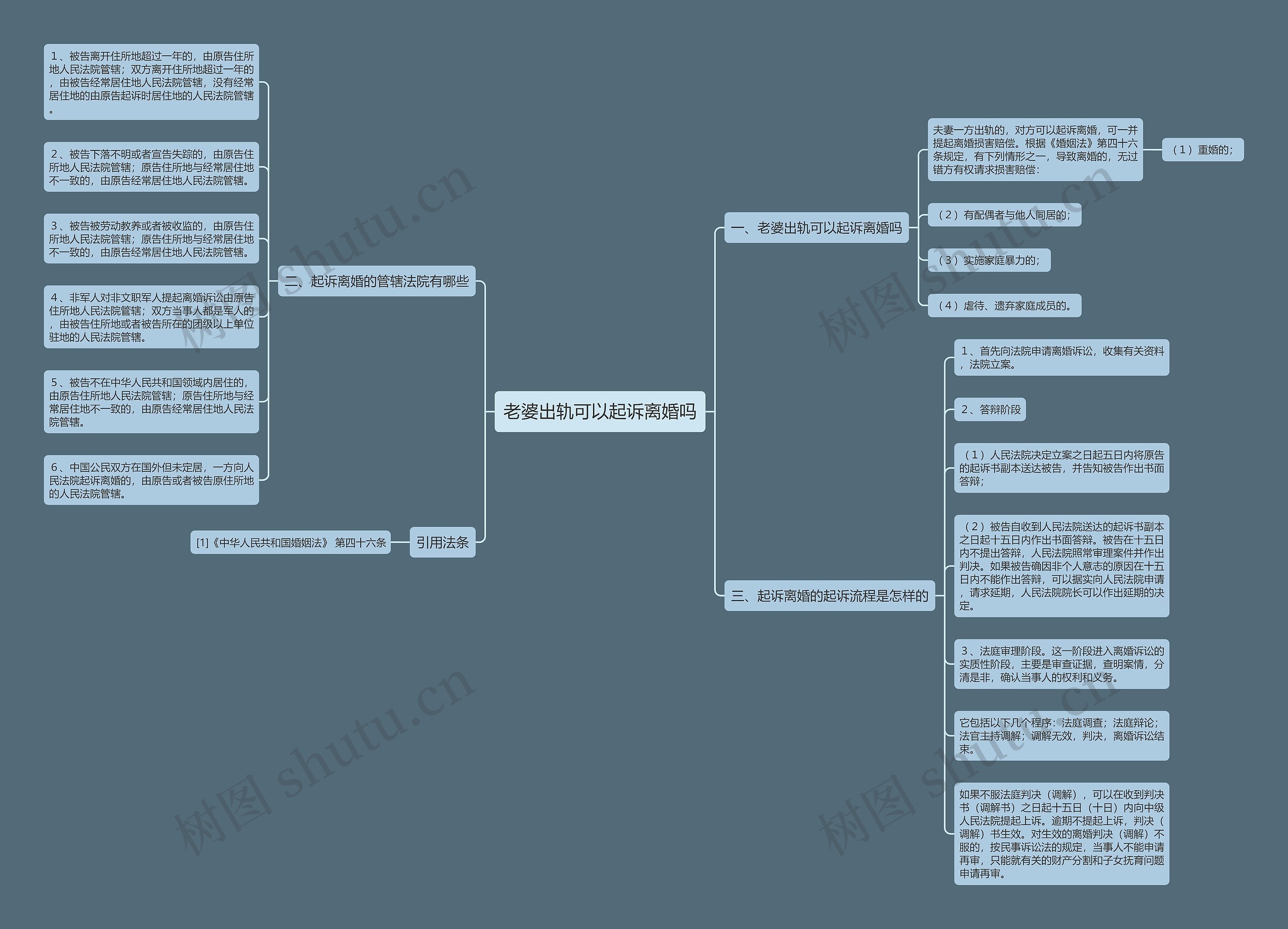老婆出轨可以起诉离婚吗思维导图