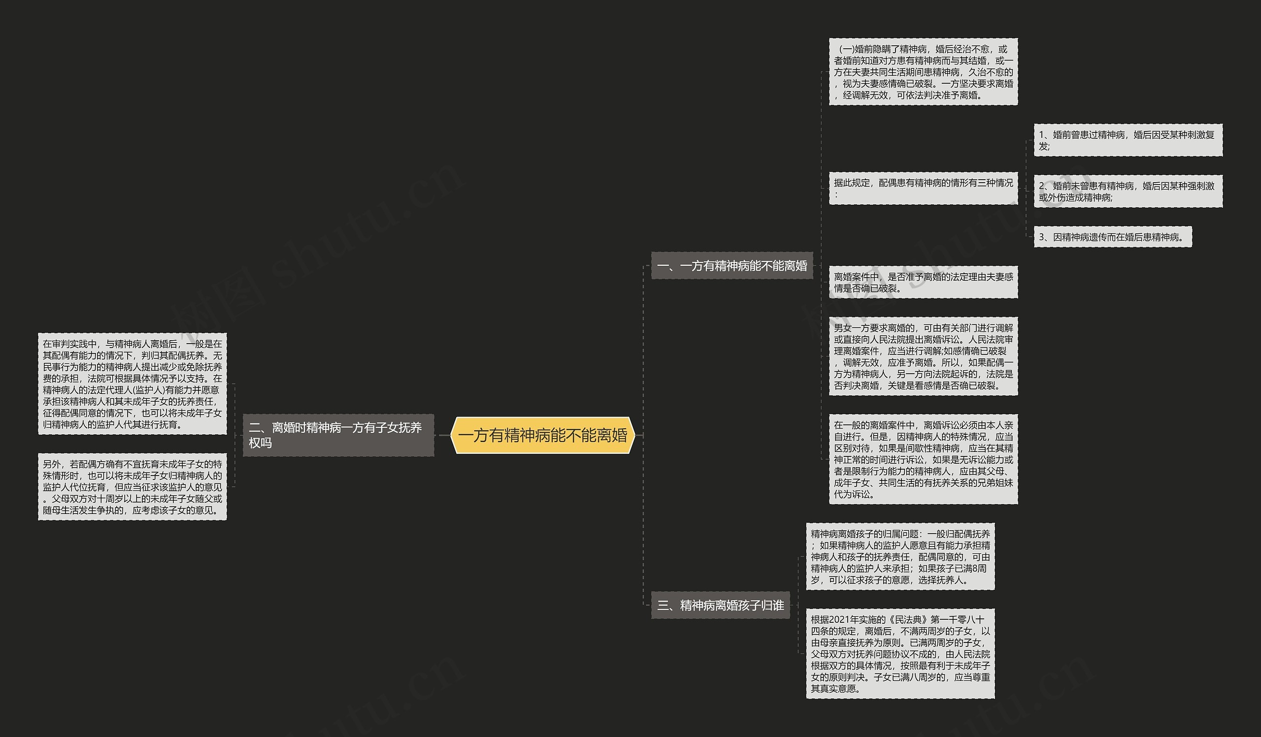 一方有精神病能不能离婚思维导图
