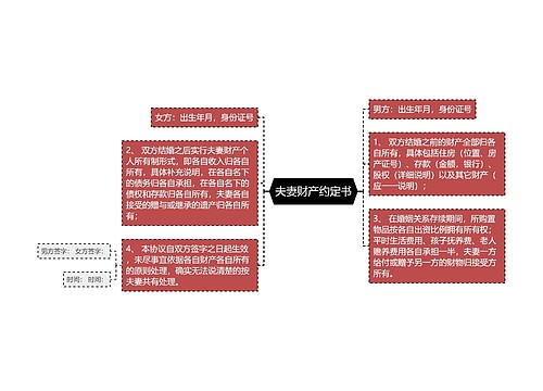 夫妻财产约定书