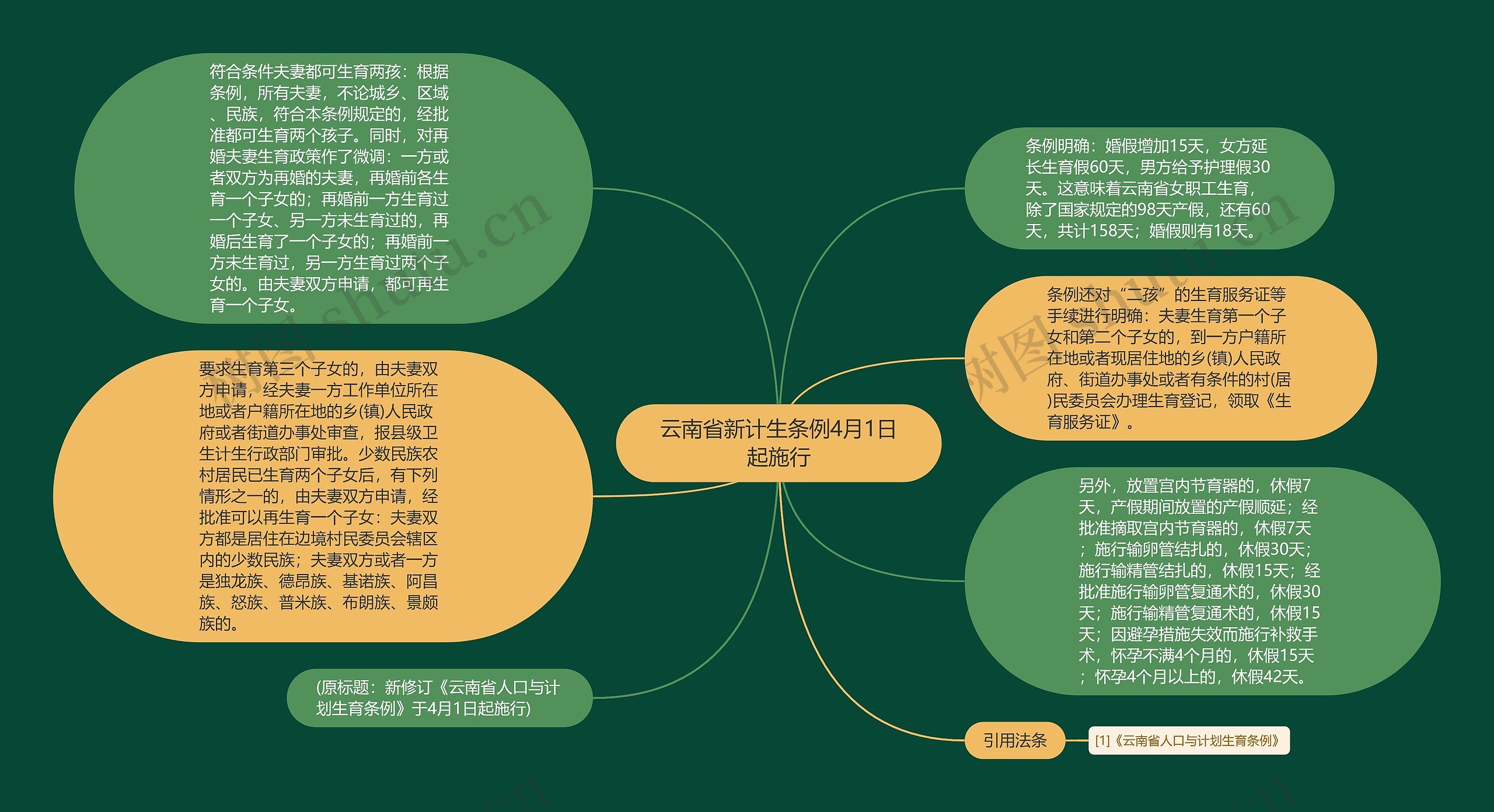 云南省新计生条例4月1日起施行思维导图