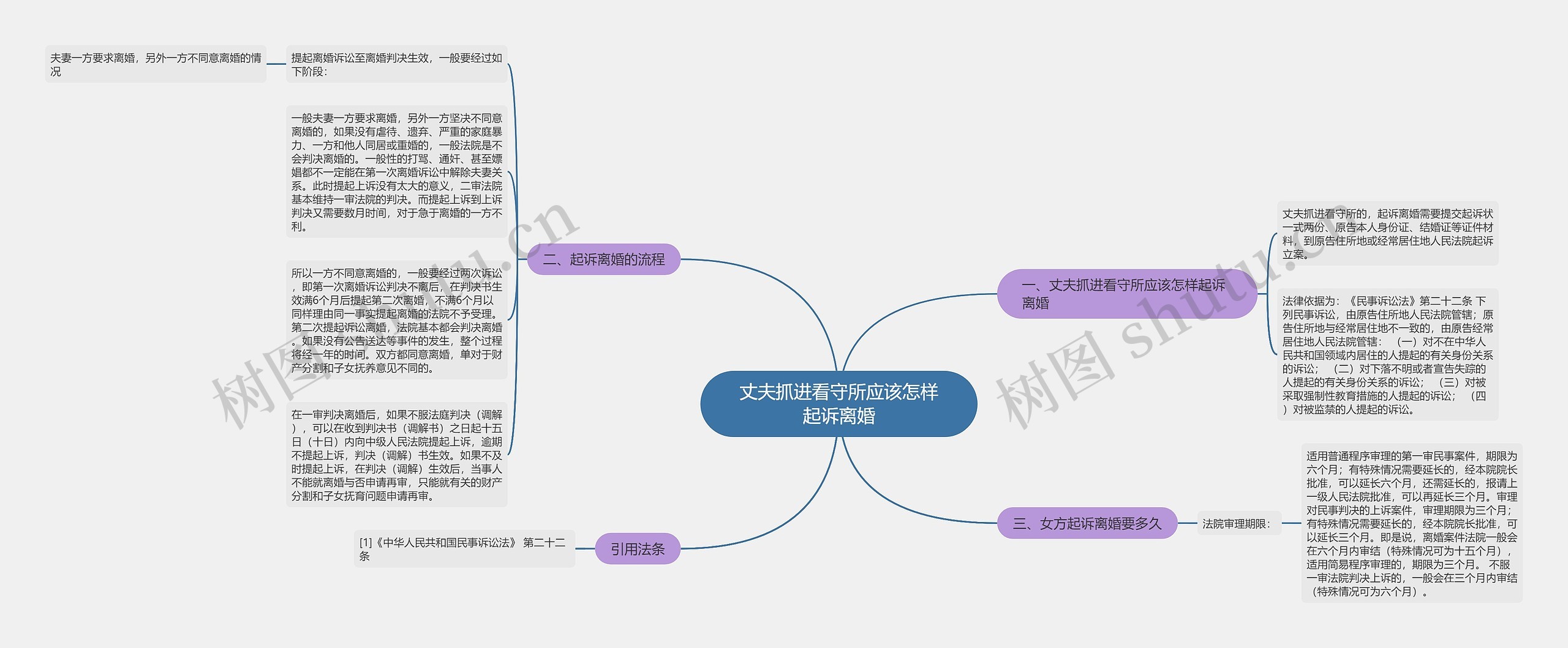 丈夫抓进看守所应该怎样起诉离婚思维导图