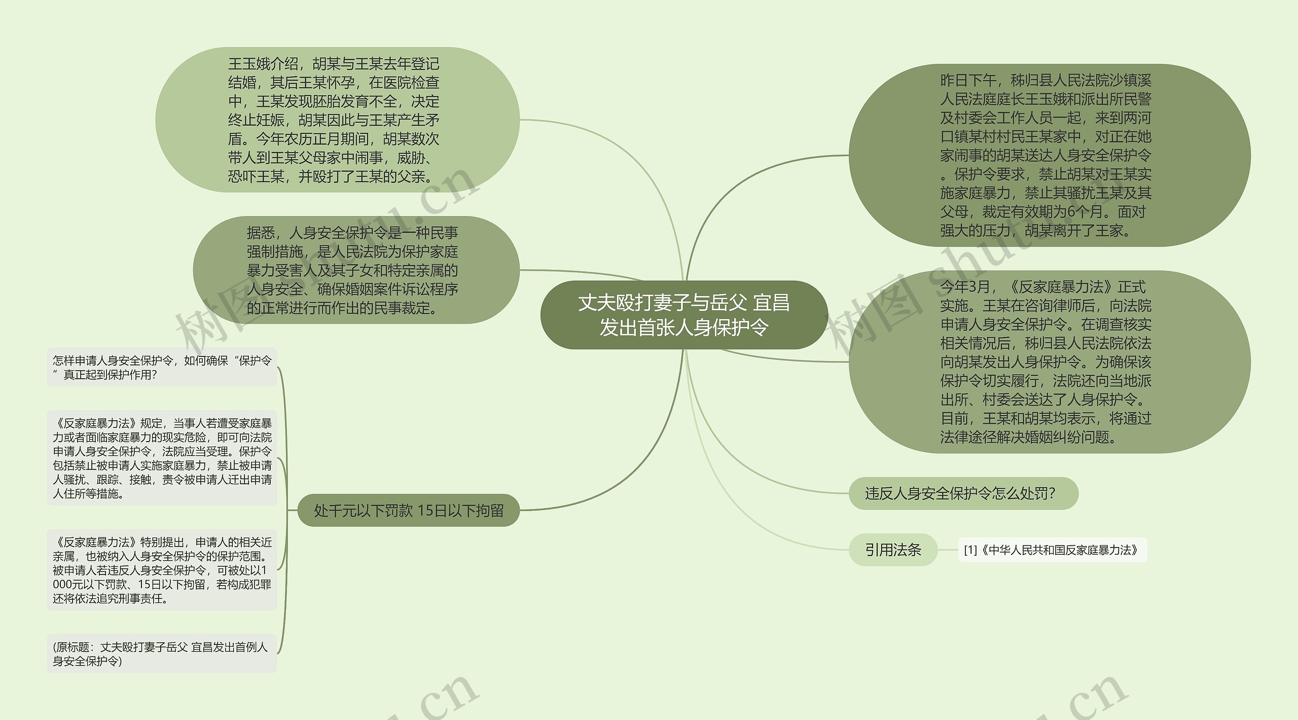 丈夫殴打妻子与岳父 宜昌发出首张人身保护令思维导图