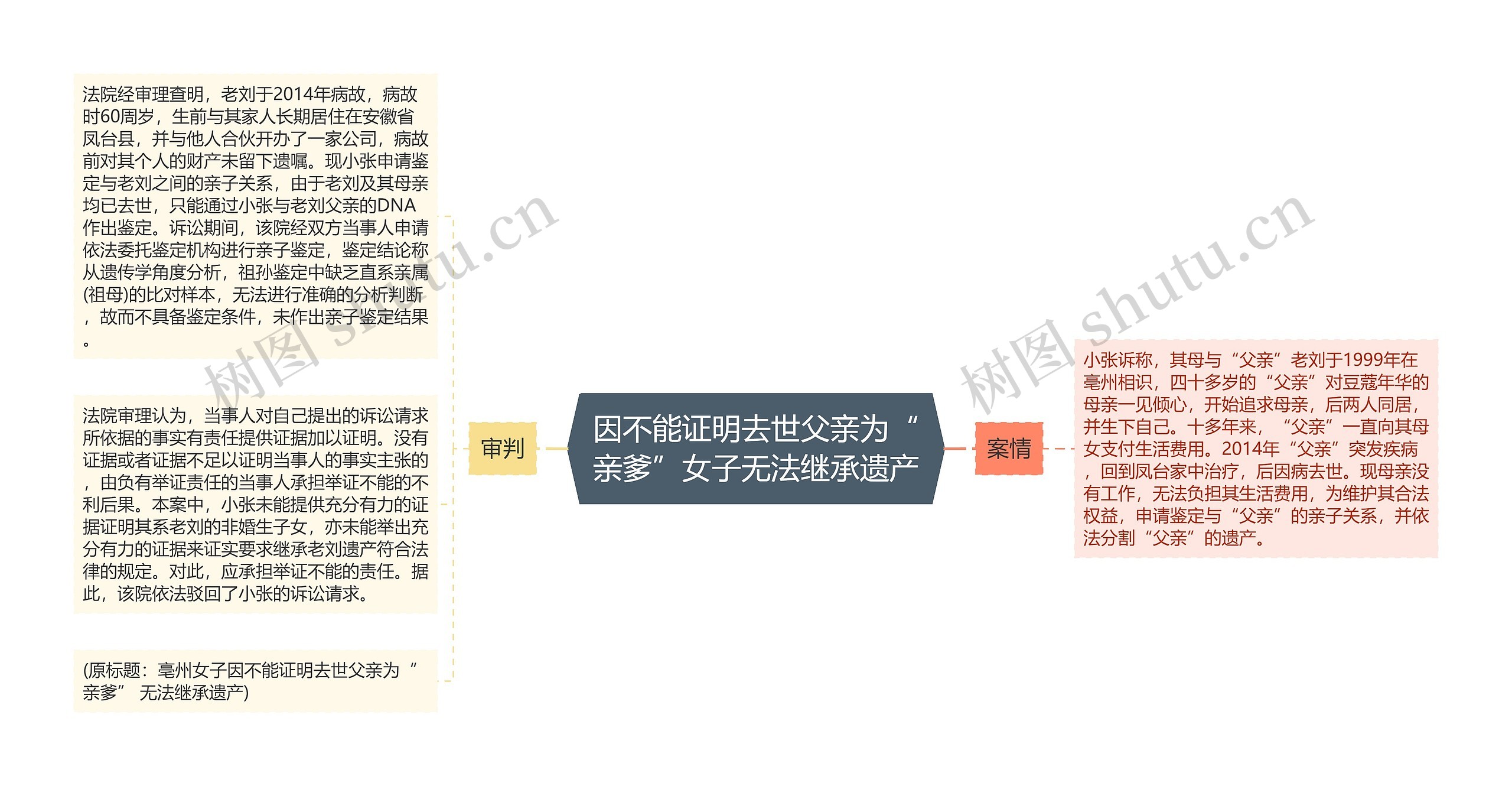 因不能证明去世父亲为“亲爹”女子无法继承遗产思维导图