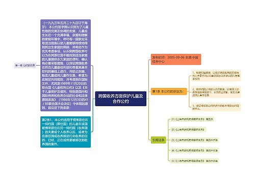 跨国收养方面保护儿童及合作公约