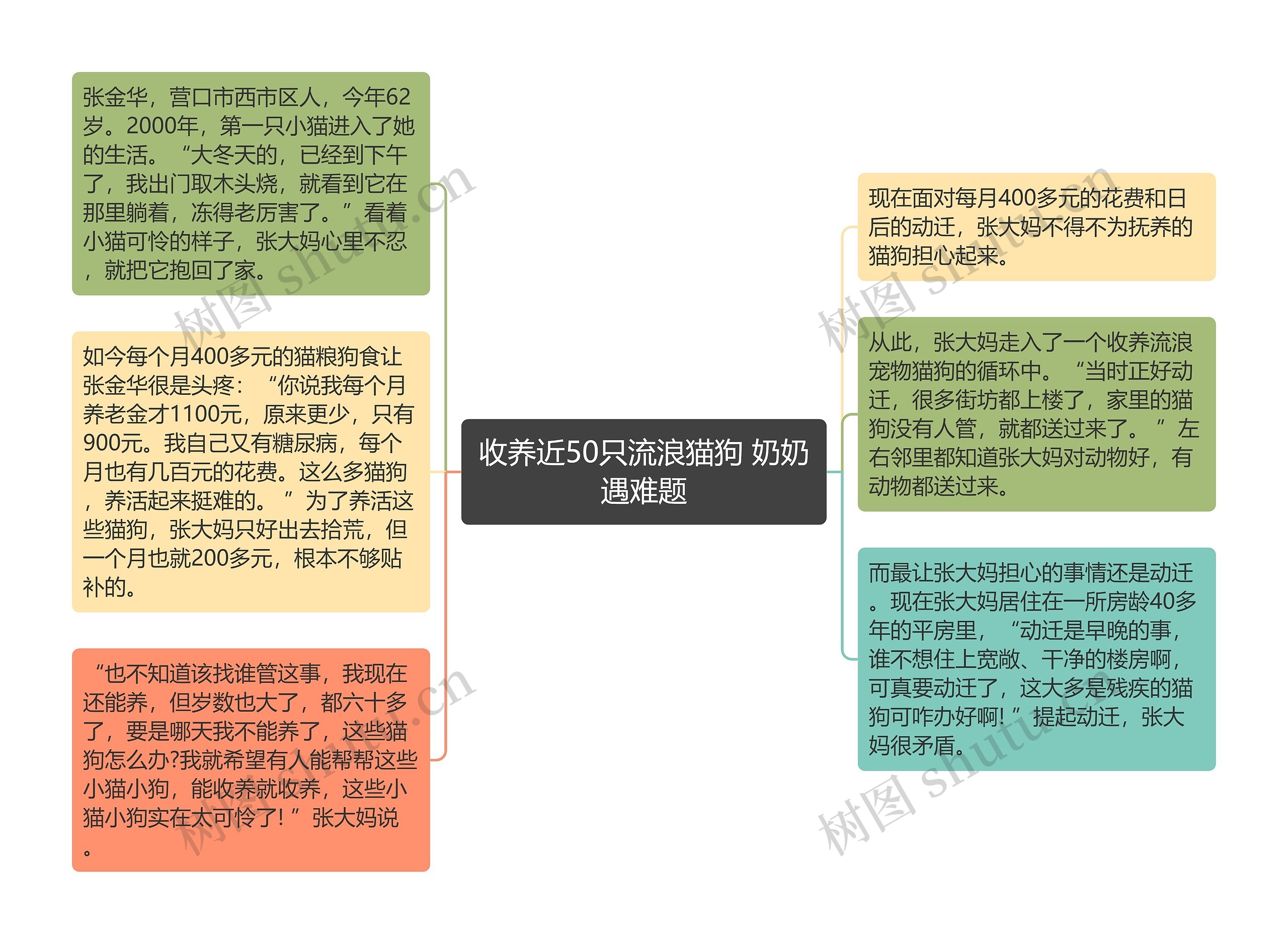 收养近50只流浪猫狗 奶奶遇难题思维导图