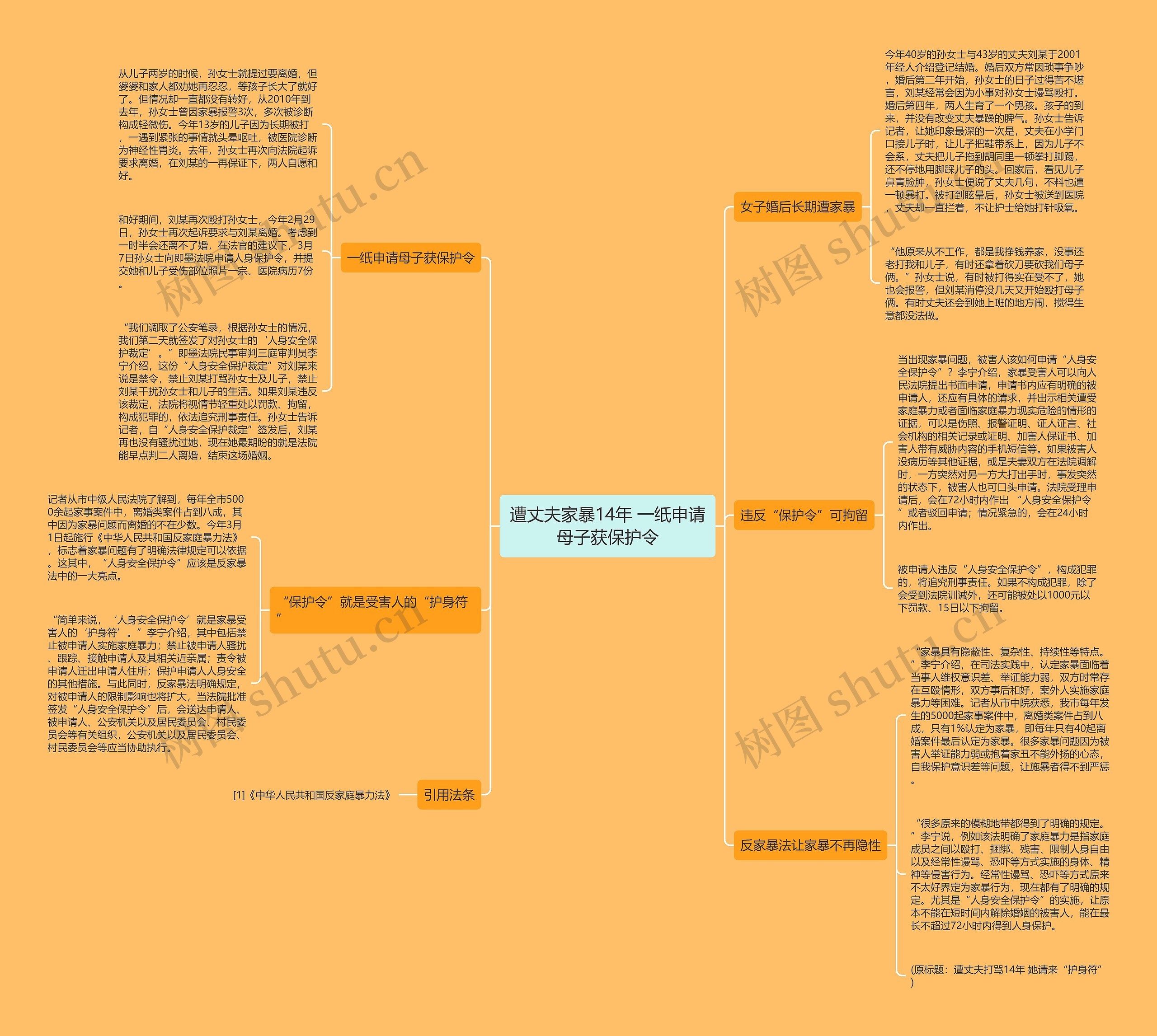 遭丈夫家暴14年 一纸申请母子获保护令思维导图