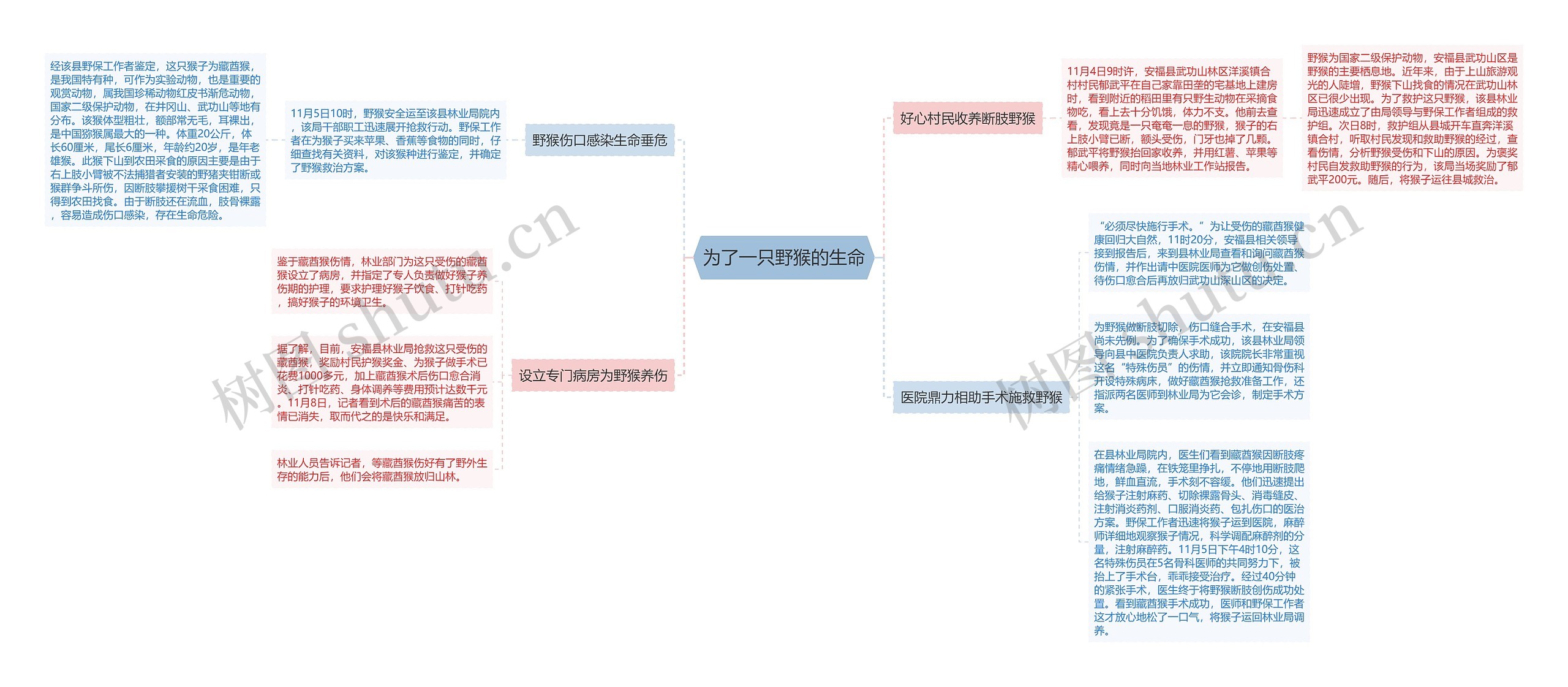 为了一只野猴的生命
