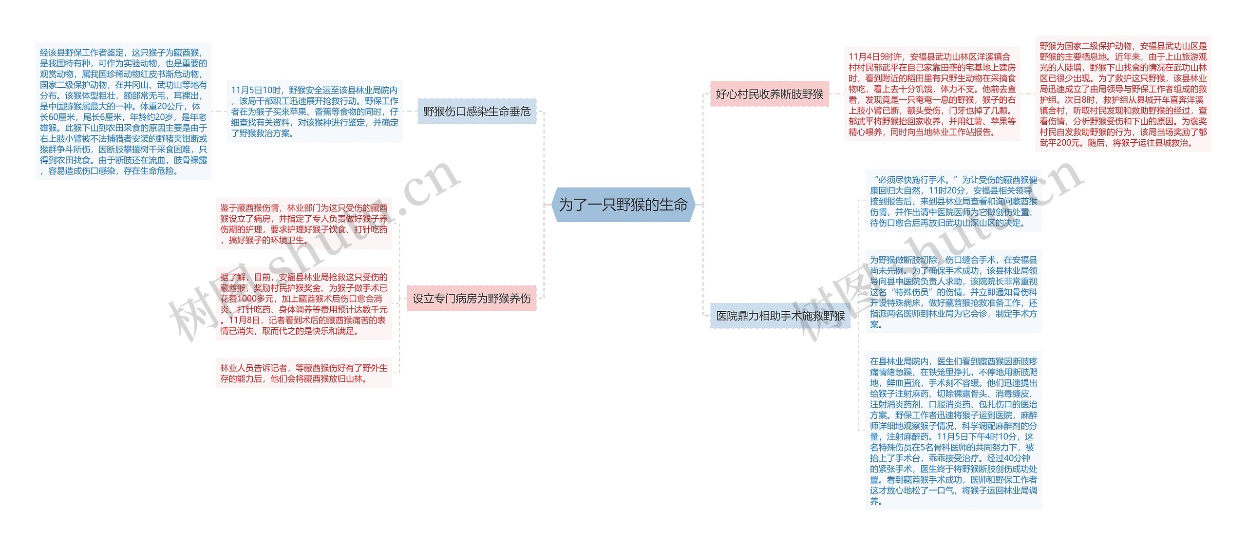 为了一只野猴的生命思维导图