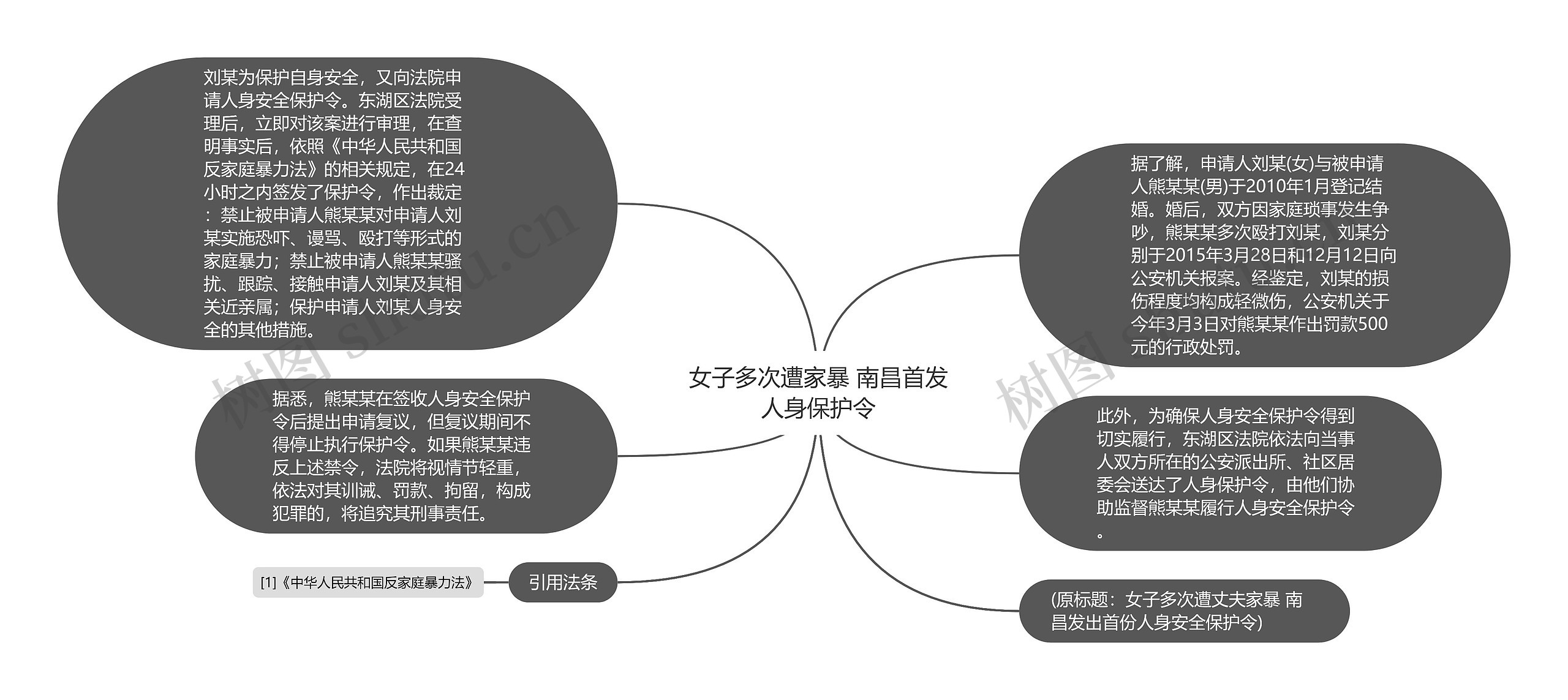 女子多次遭家暴 南昌首发人身保护令思维导图