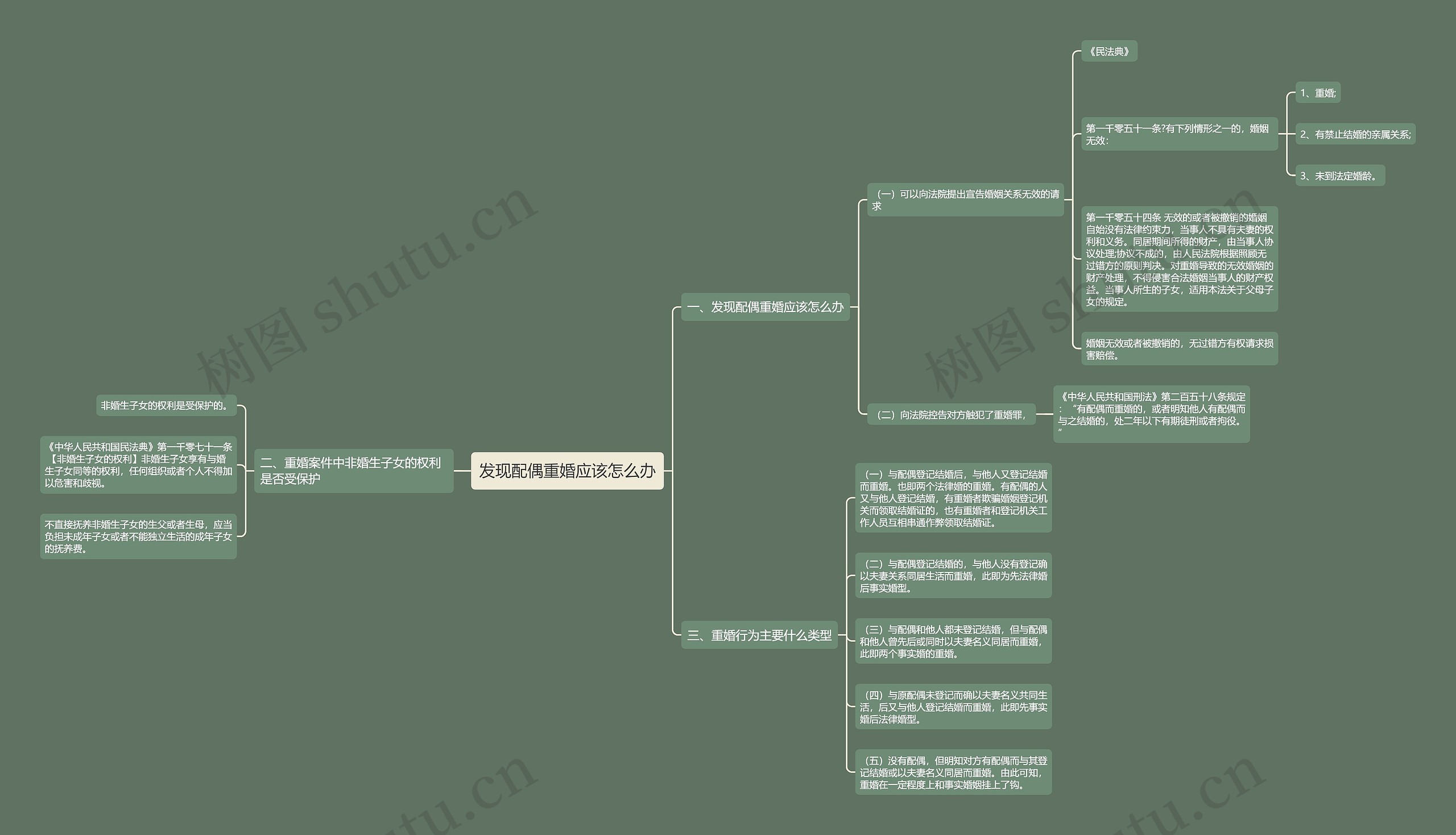发现配偶重婚应该怎么办思维导图