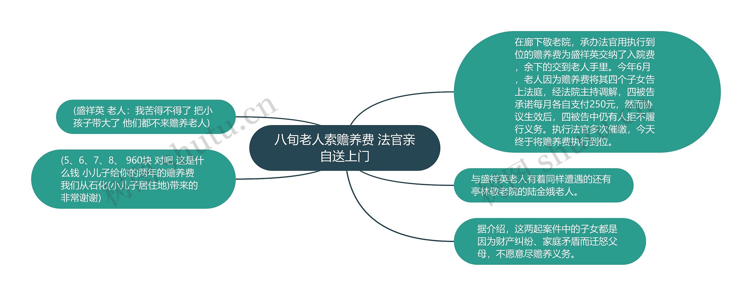 八旬老人索赡养费 法官亲自送上门思维导图