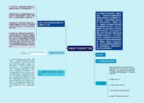 夫妻财产约定的财产范围