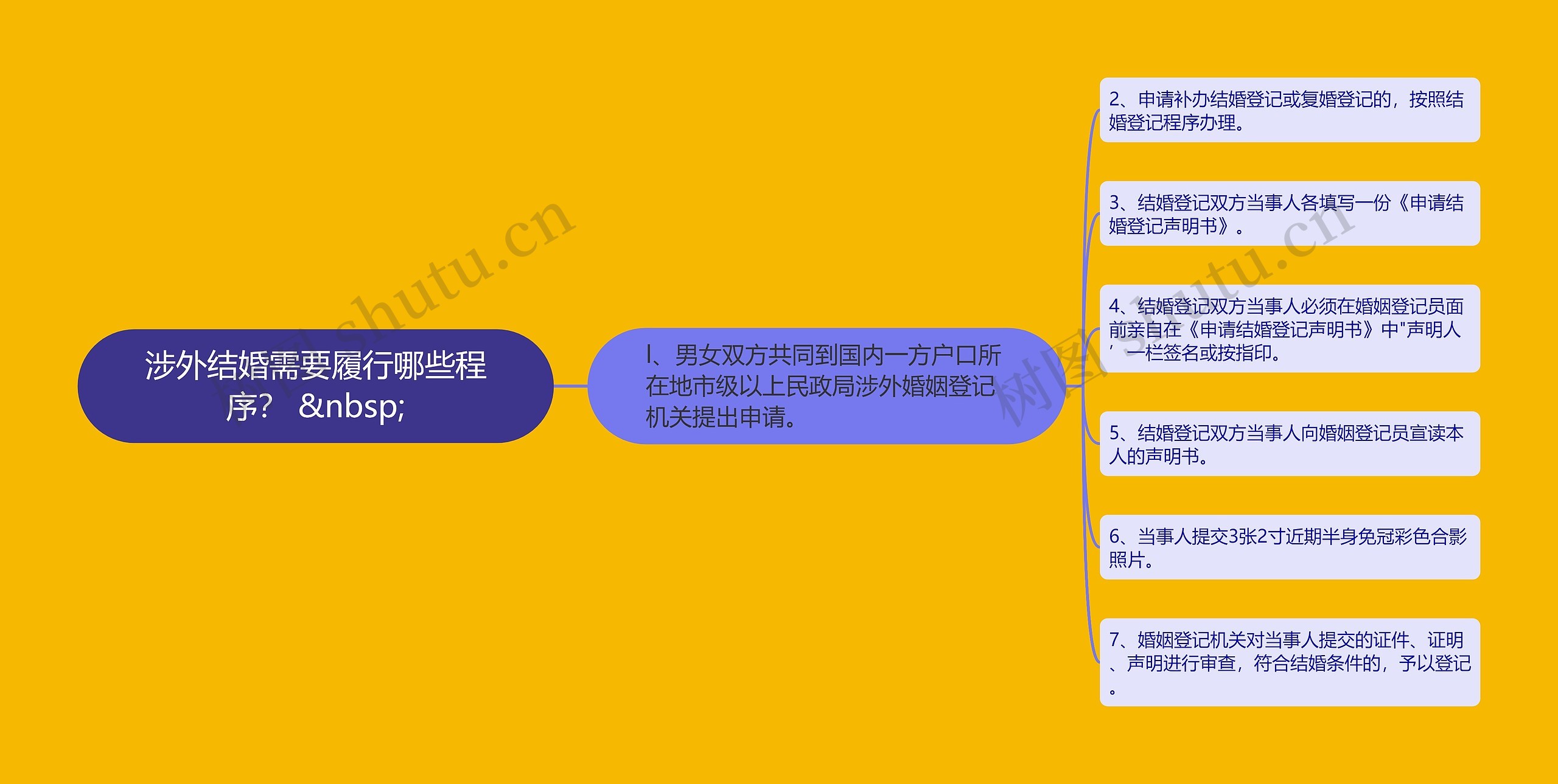涉外结婚需要履行哪些程序？ &nbsp;思维导图