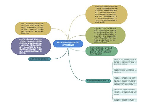 双头女婴靠呼吸机存活 母亲望其被收养