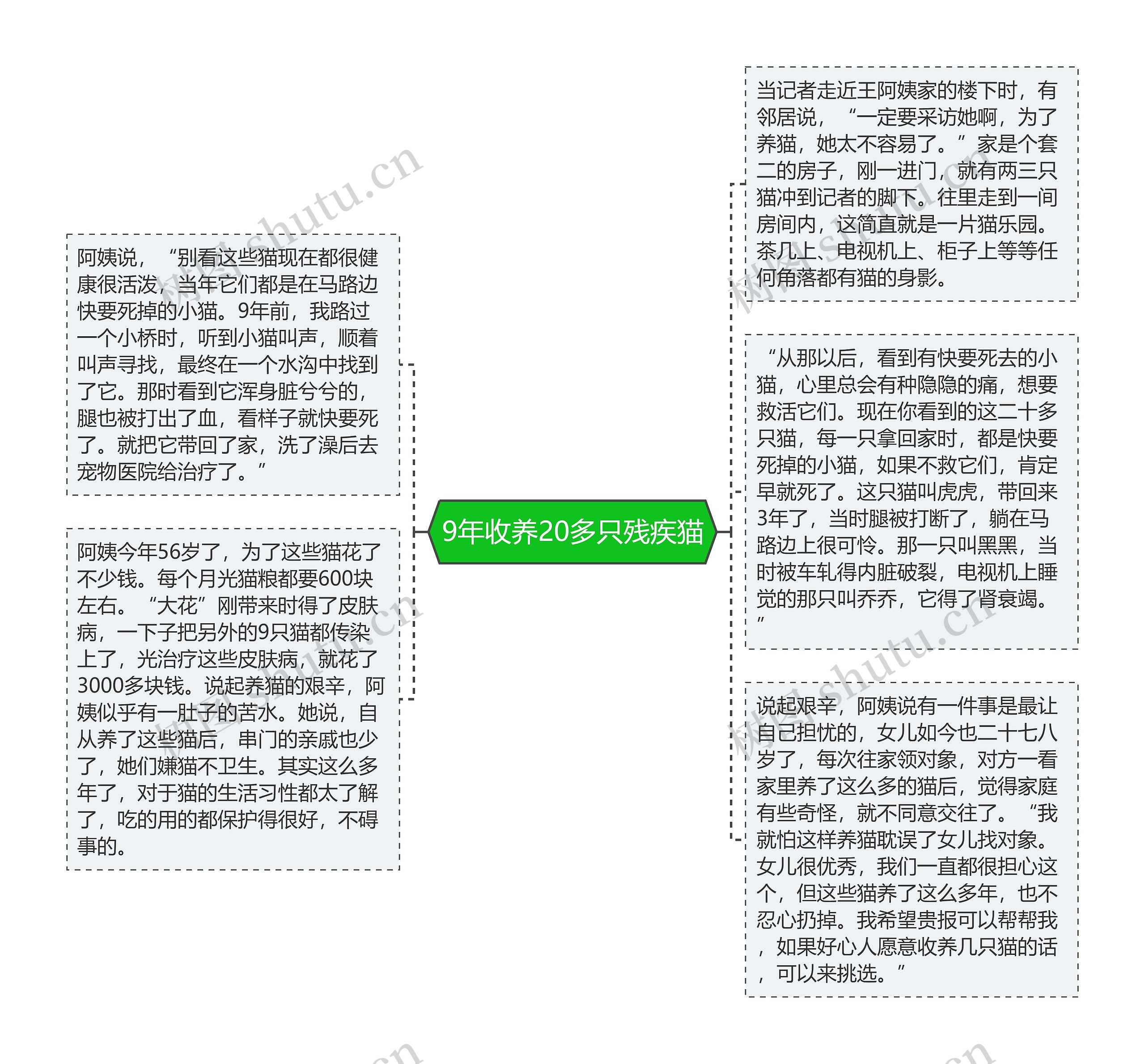 9年收养20多只残疾猫思维导图