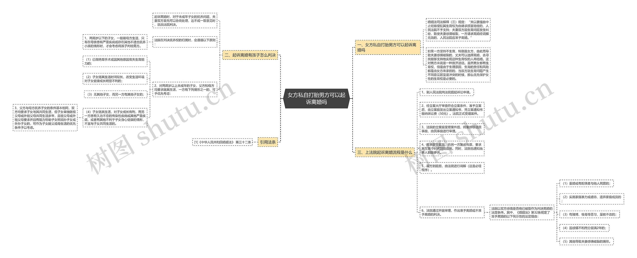 女方私自打胎男方可以起诉离婚吗思维导图