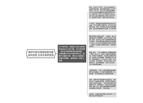 妻子不能证明借款是夫妻共同债务 丈夫不承担债务