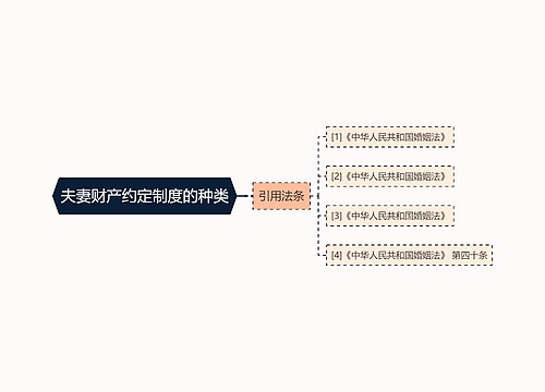 夫妻财产约定制度的种类