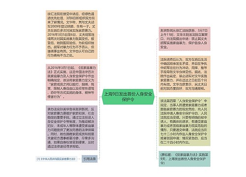 上海9日发出首份人身安全保护令