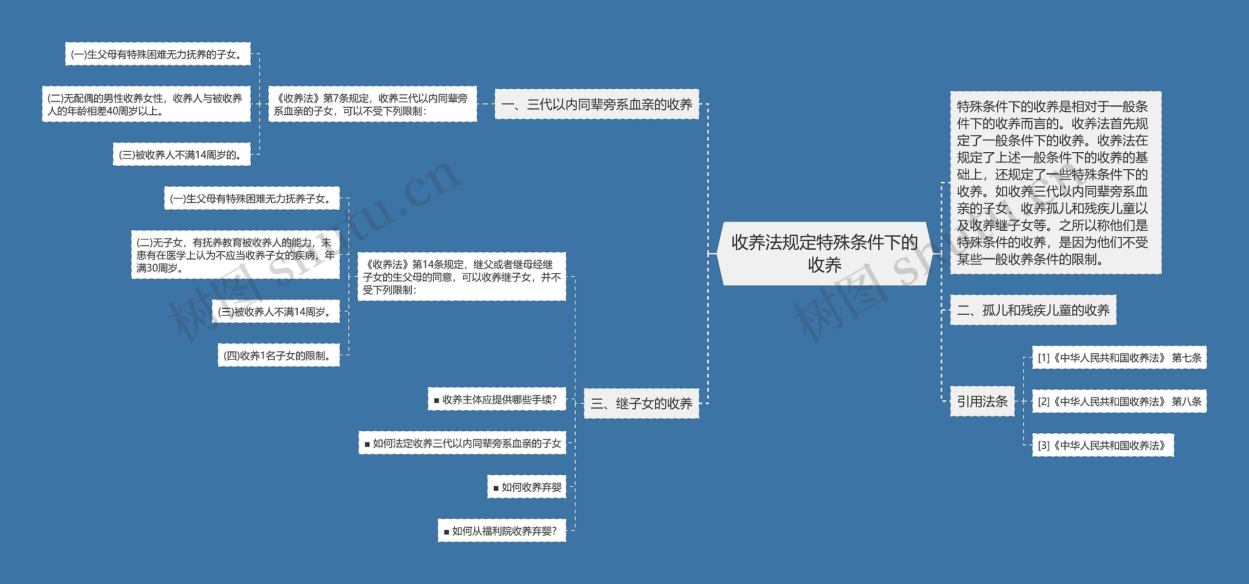 收养法规定特殊条件下的收养思维导图