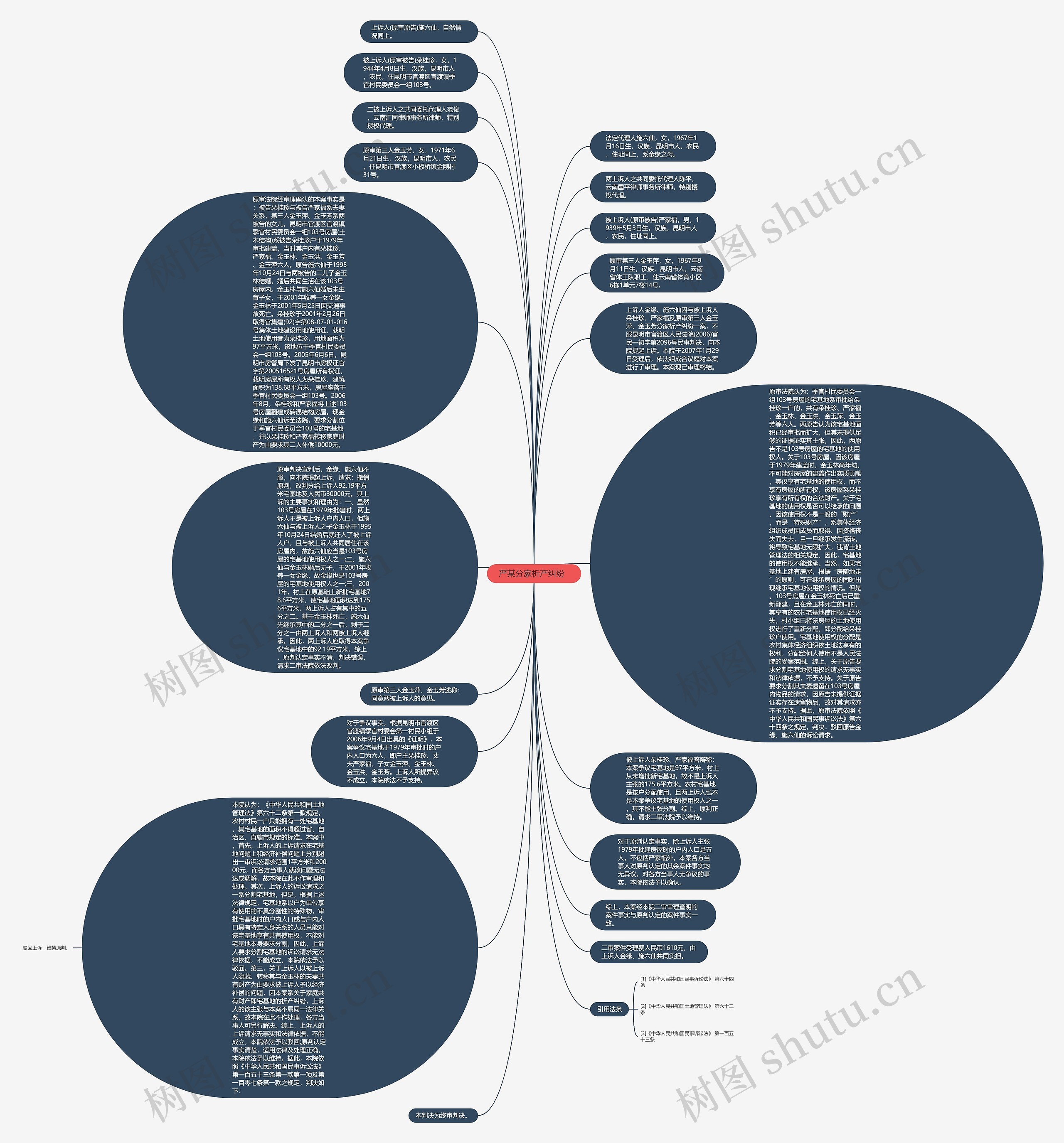  严某分家析产纠纷   思维导图