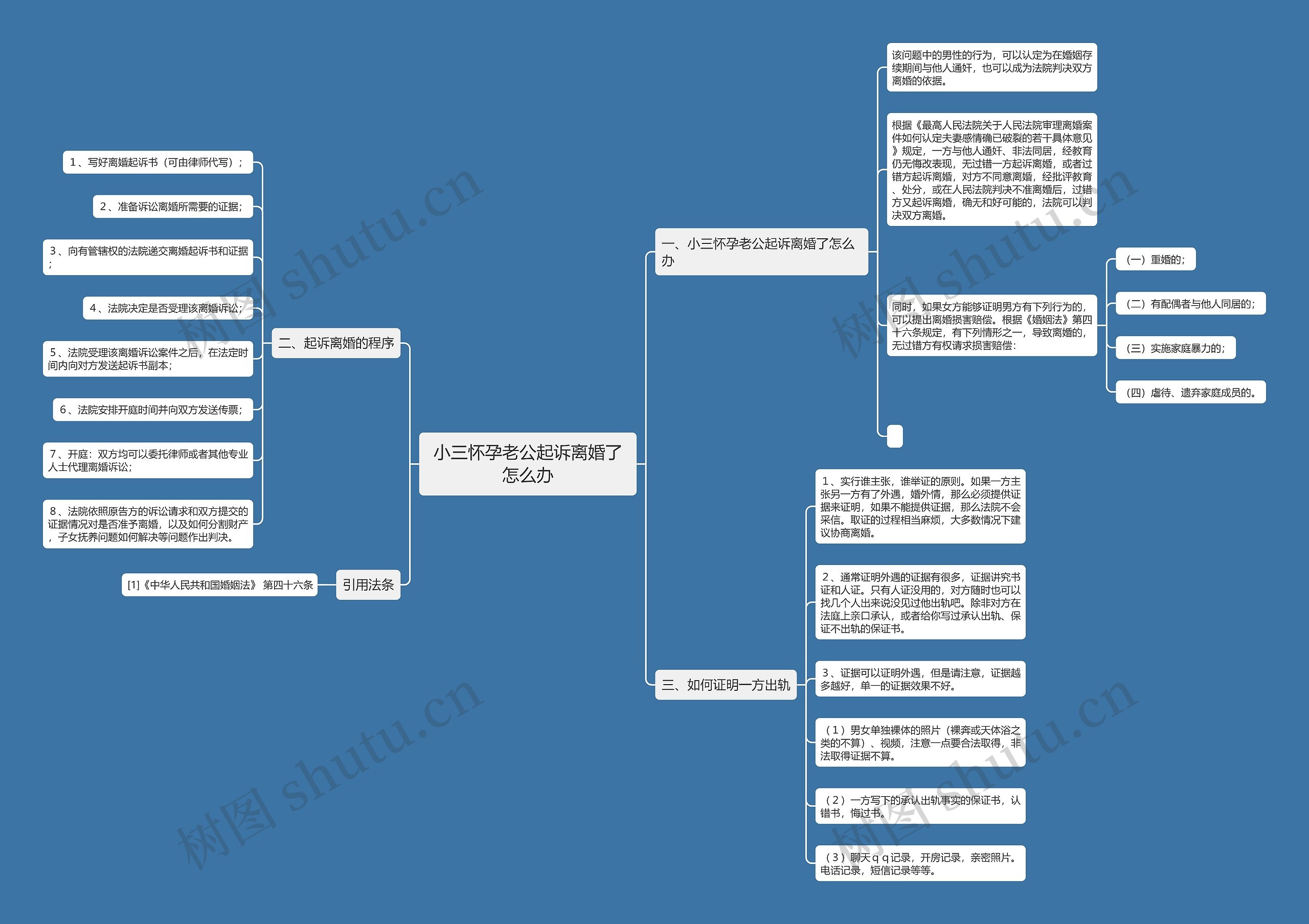 小三怀孕老公起诉离婚了怎么办思维导图