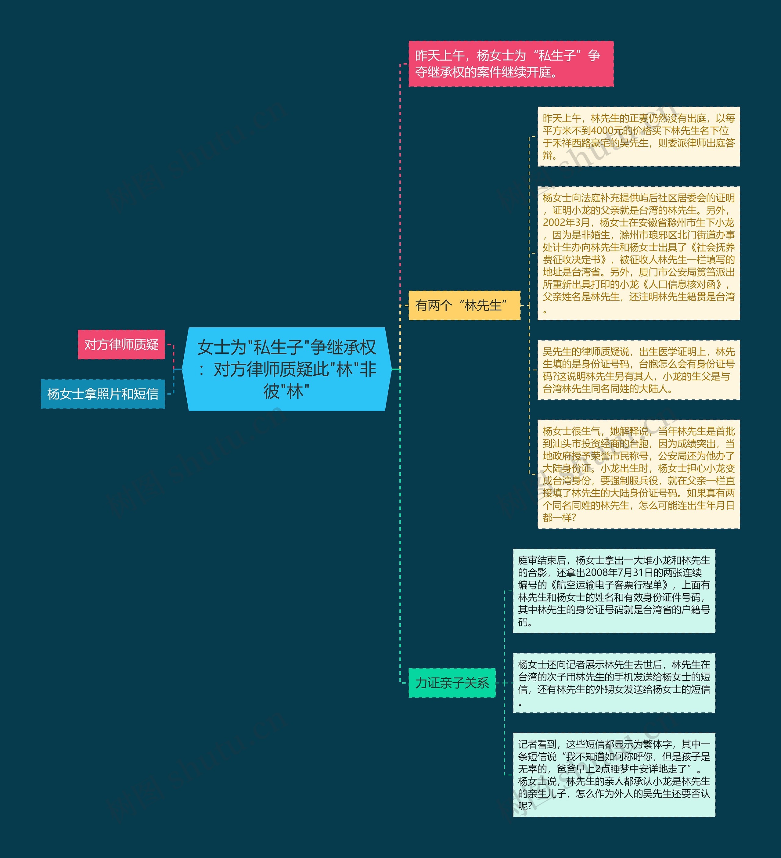 女士为"私生子"争继承权：对方律师质疑此"林"非彼"林"思维导图
