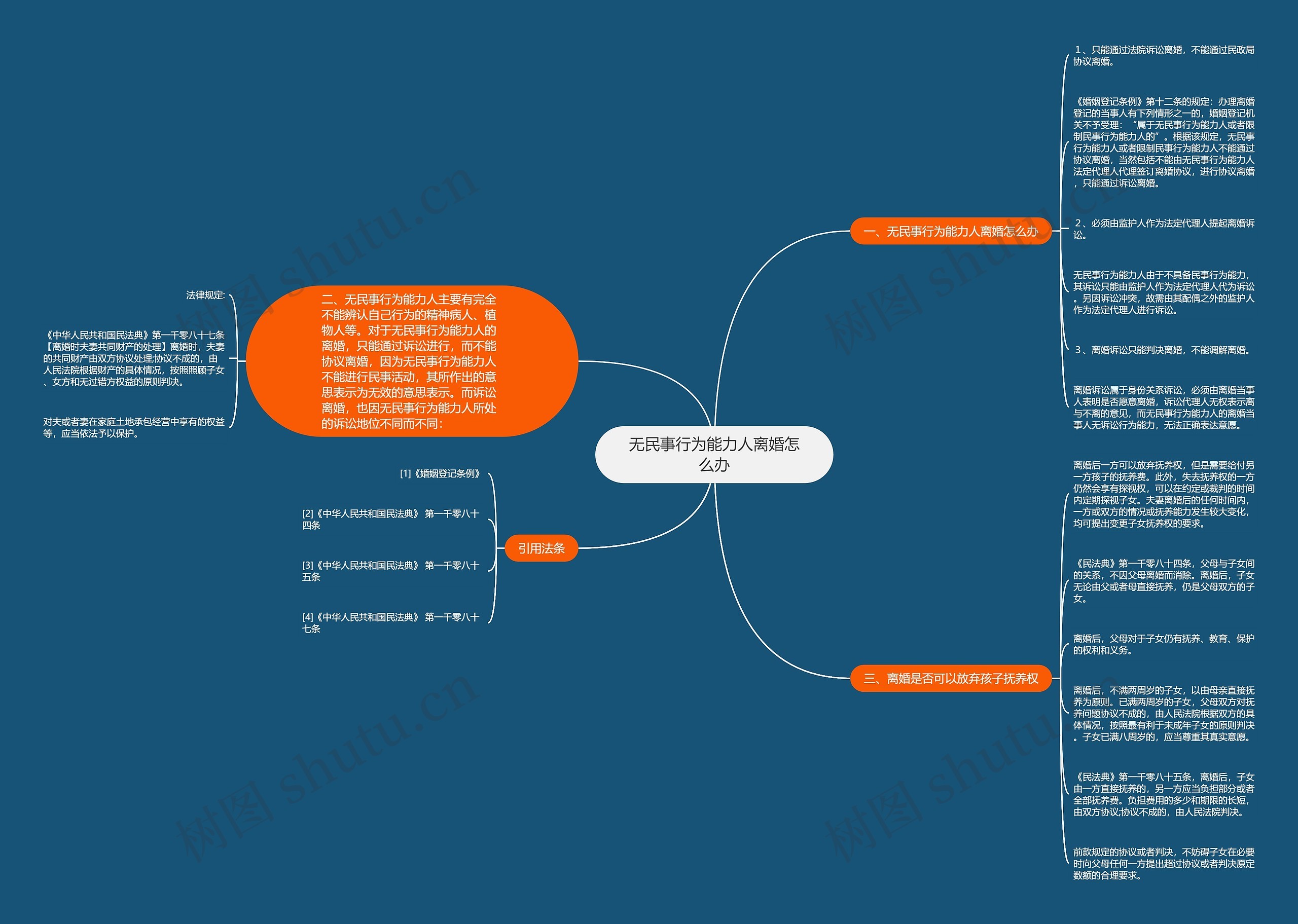 无民事行为能力人离婚怎么办思维导图