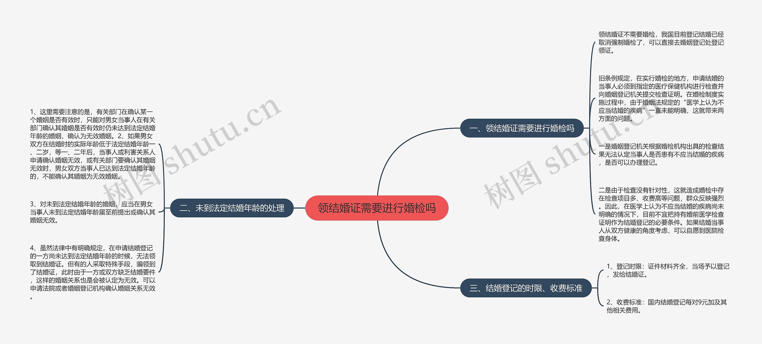 领结婚证需要进行婚检吗思维导图