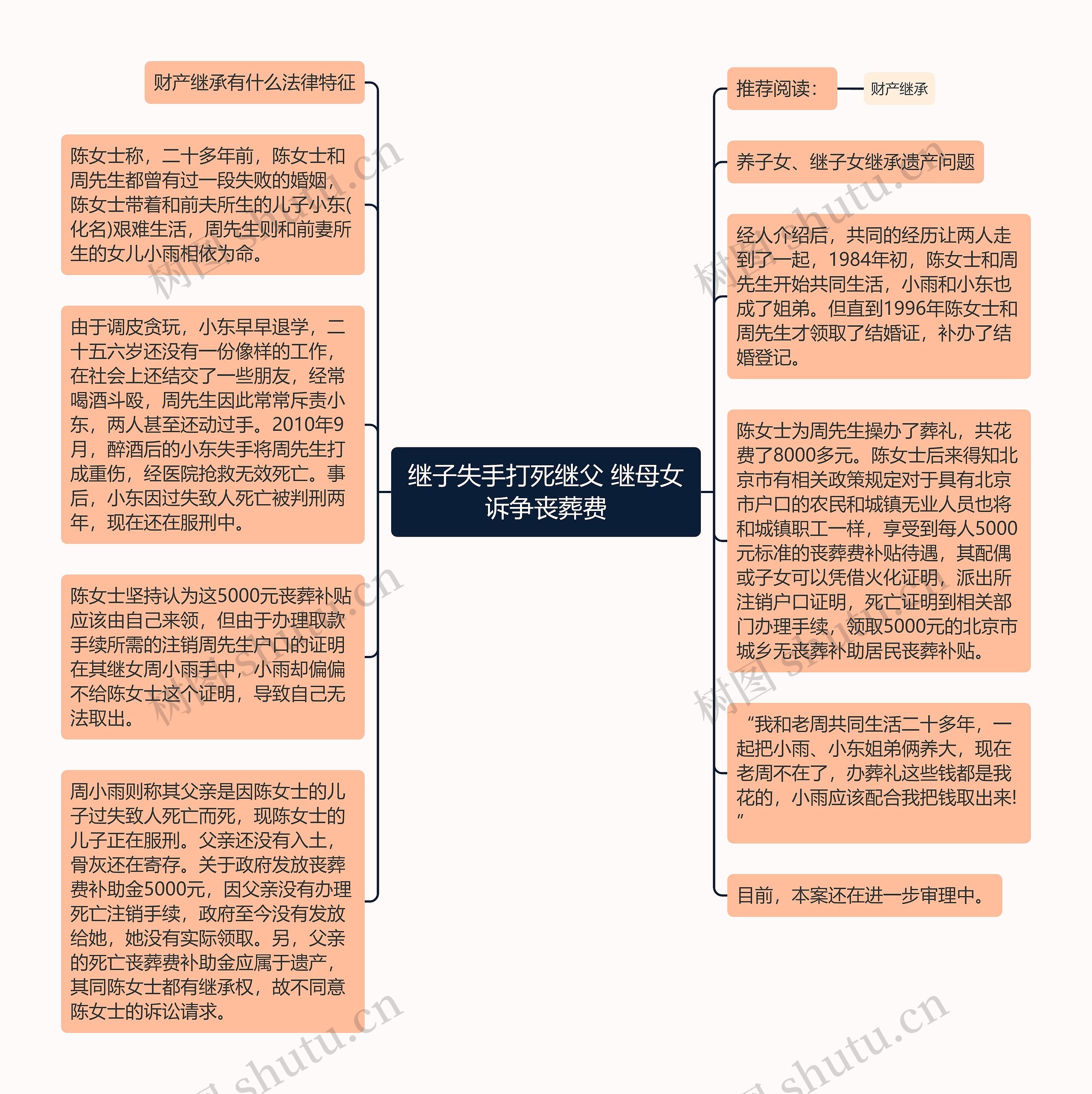 继子失手打死继父 继母女诉争丧葬费思维导图